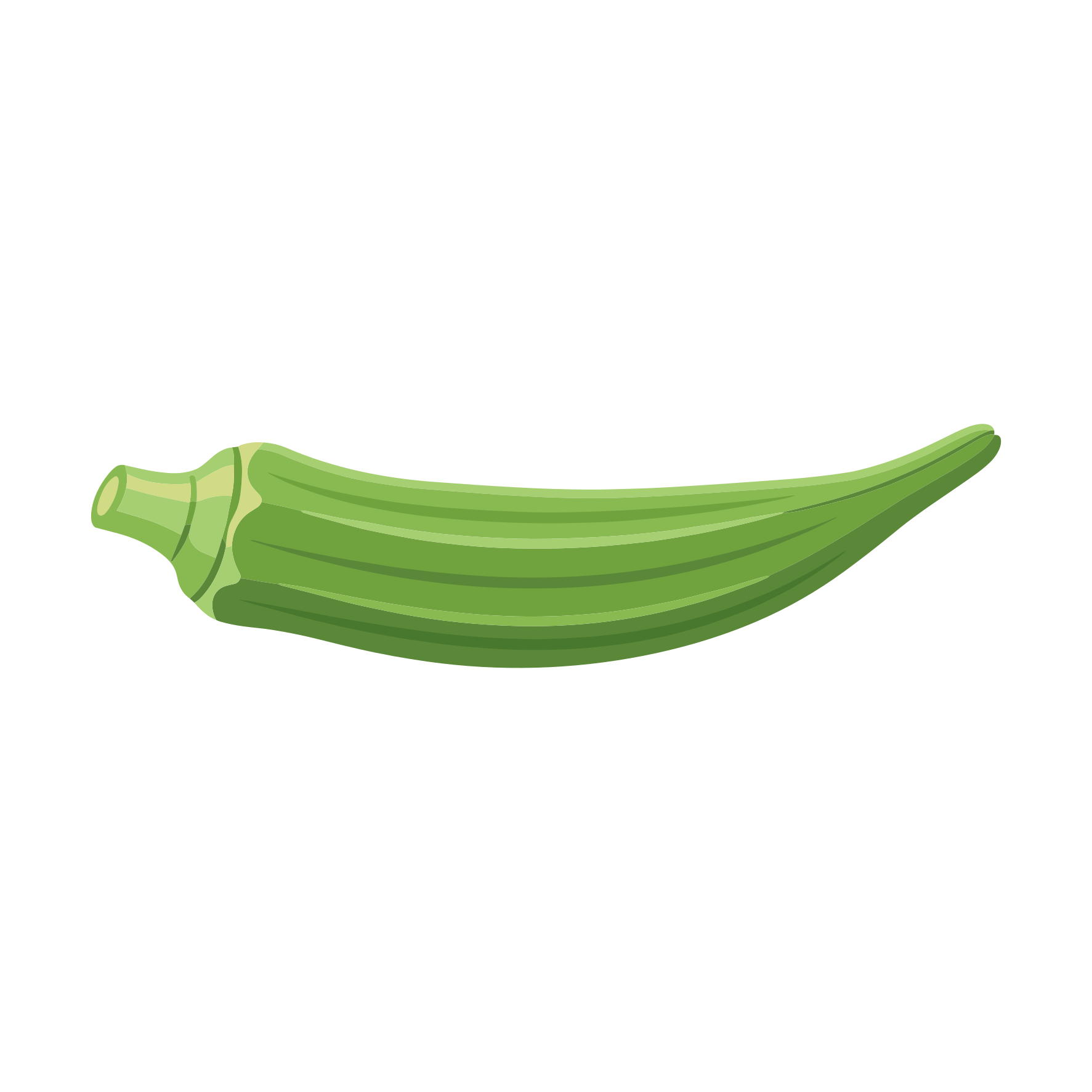 Una sola vaina de okra verde sobre fondo blanco.