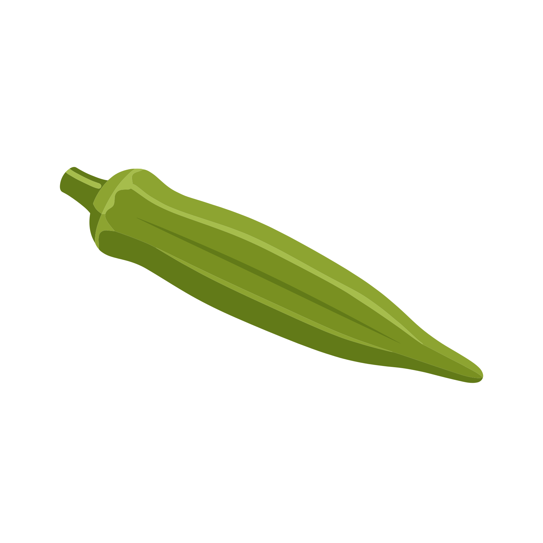 A single green okra pod on a white background.