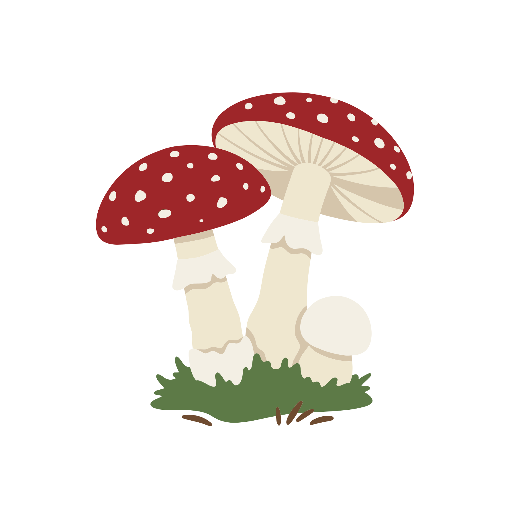 Due funghi macchiati rossi e bianchi crescono nell'erba verde.