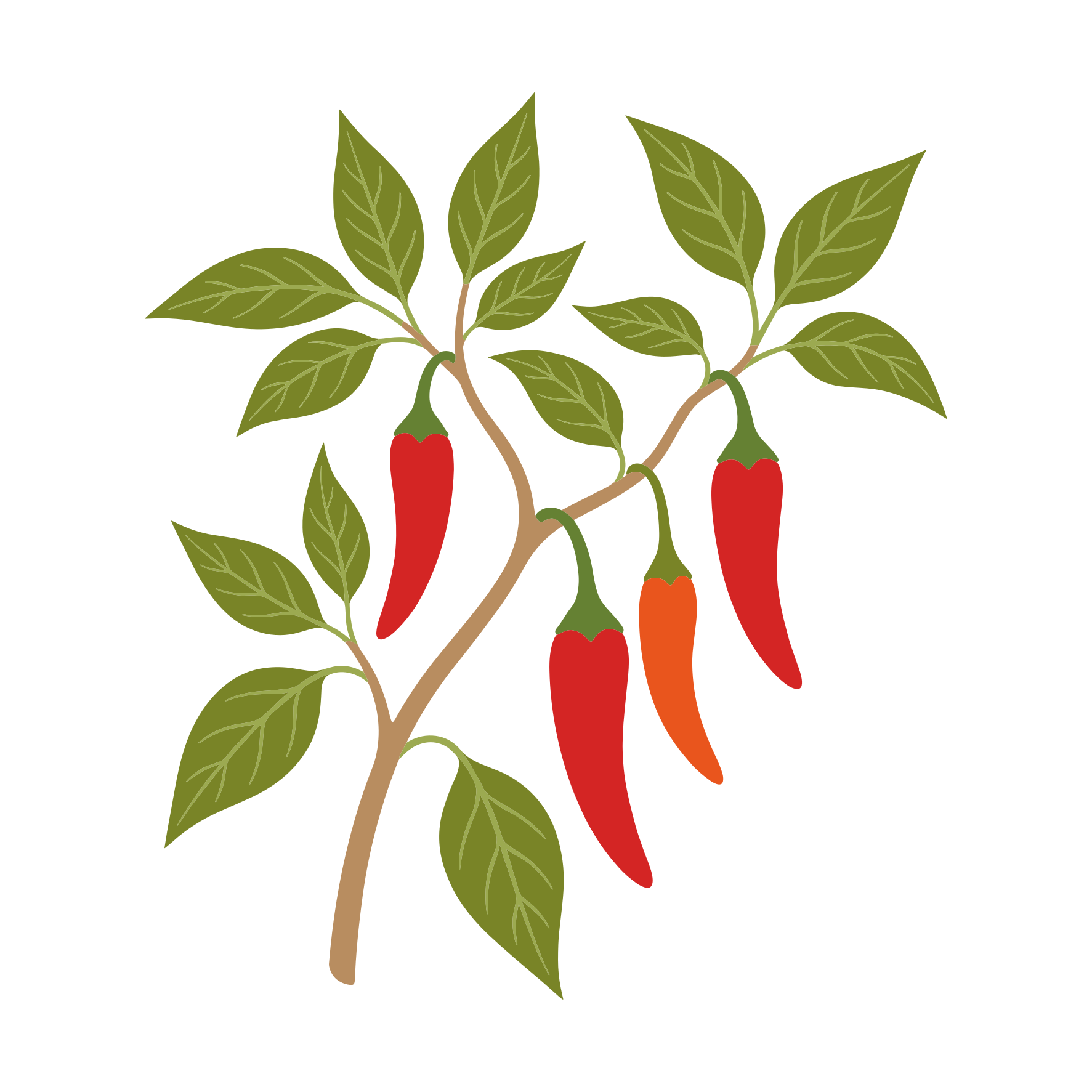 Planta de chile con pimientos rojos y naranjas.
