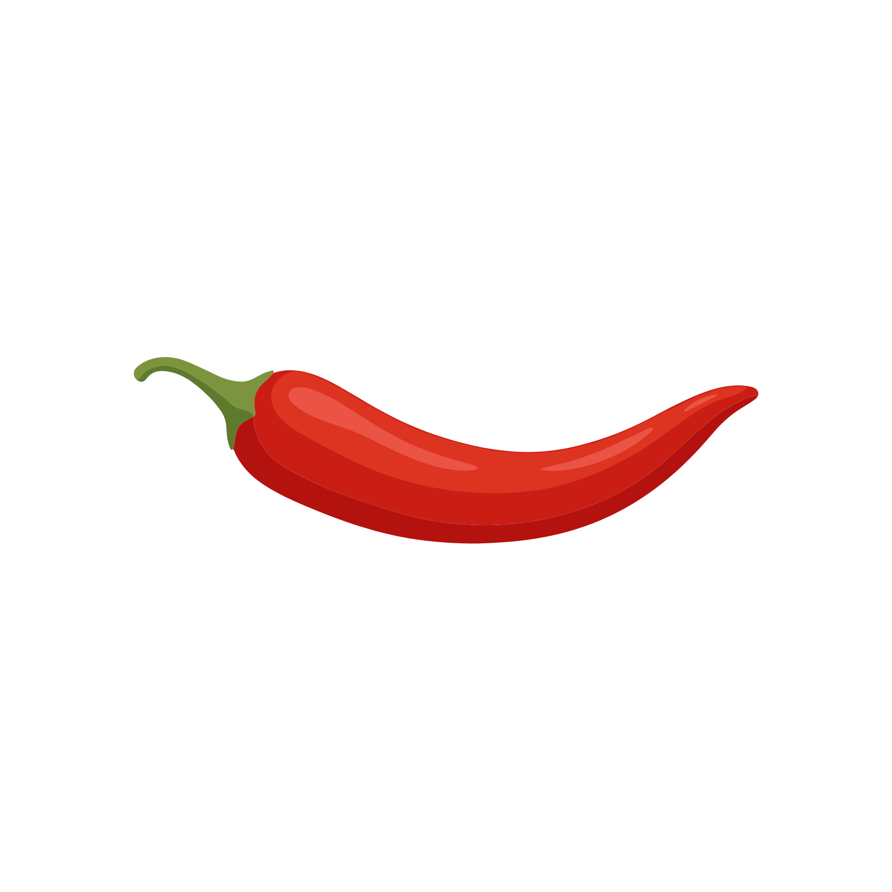 Ein einzelner roter Chili auf weißem Grund.