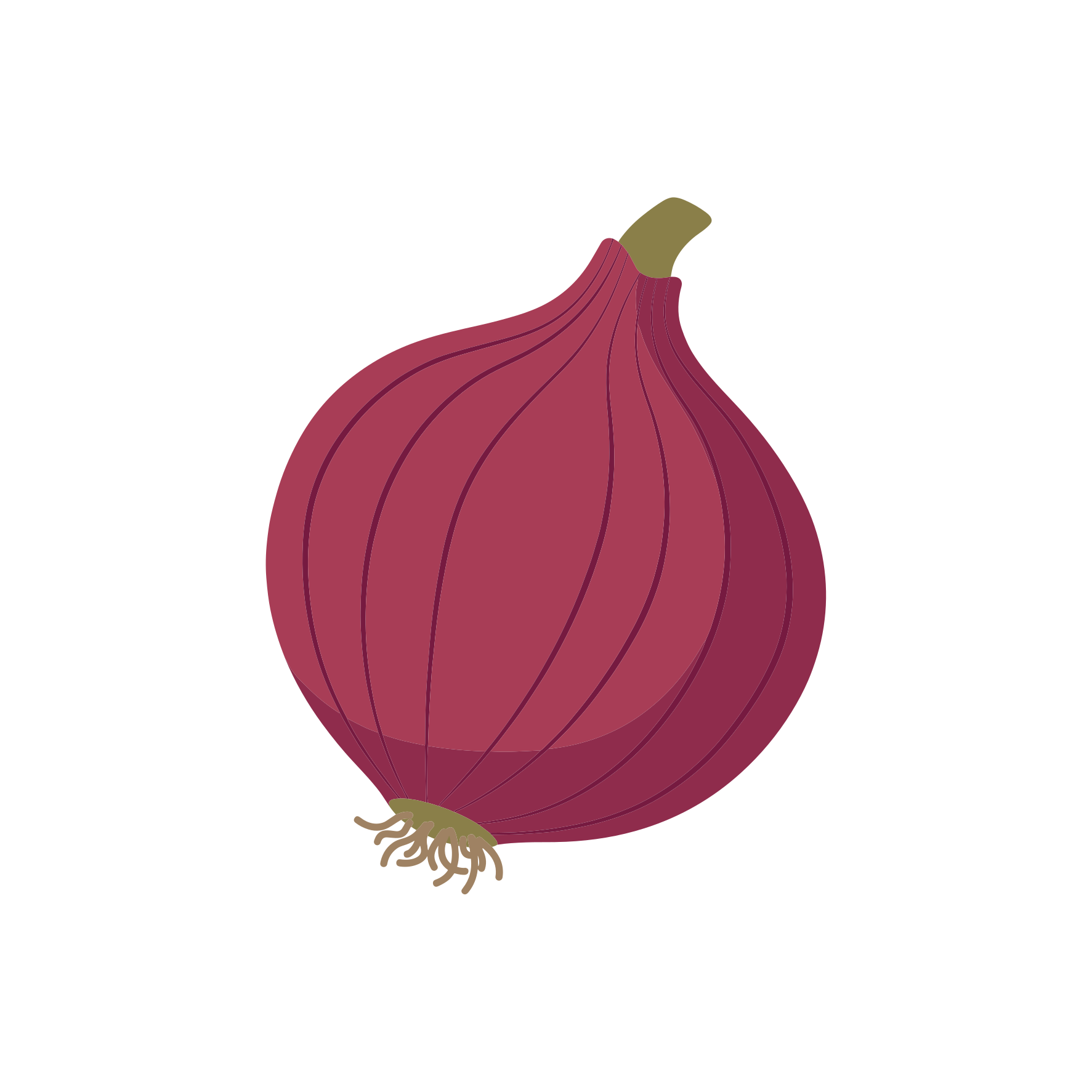 Eine einzelne rote Zwiebel mit grünem Stängel und Wurzeln