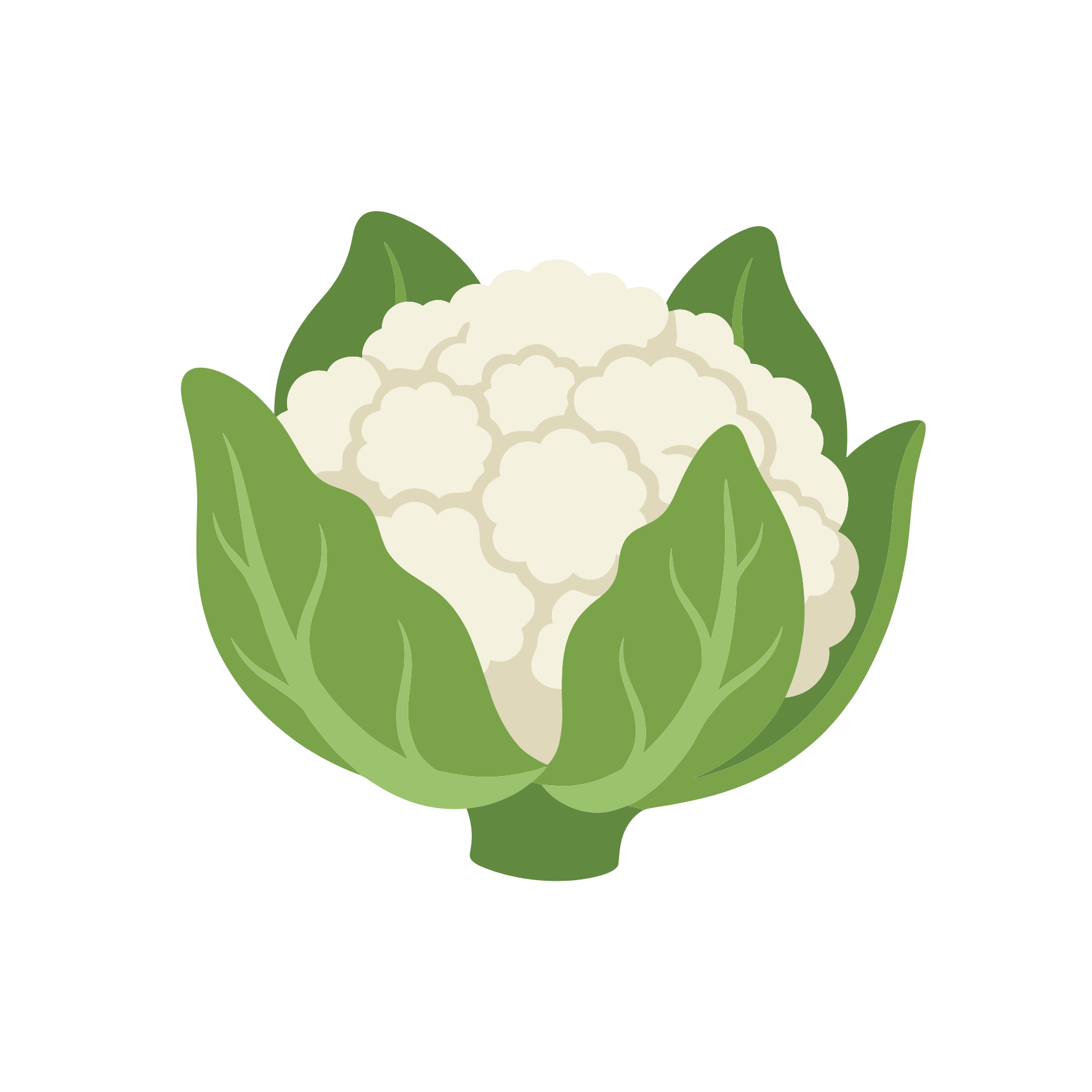 Uma couve-flor de desenho animado com folhas verdes sobre fundo branco