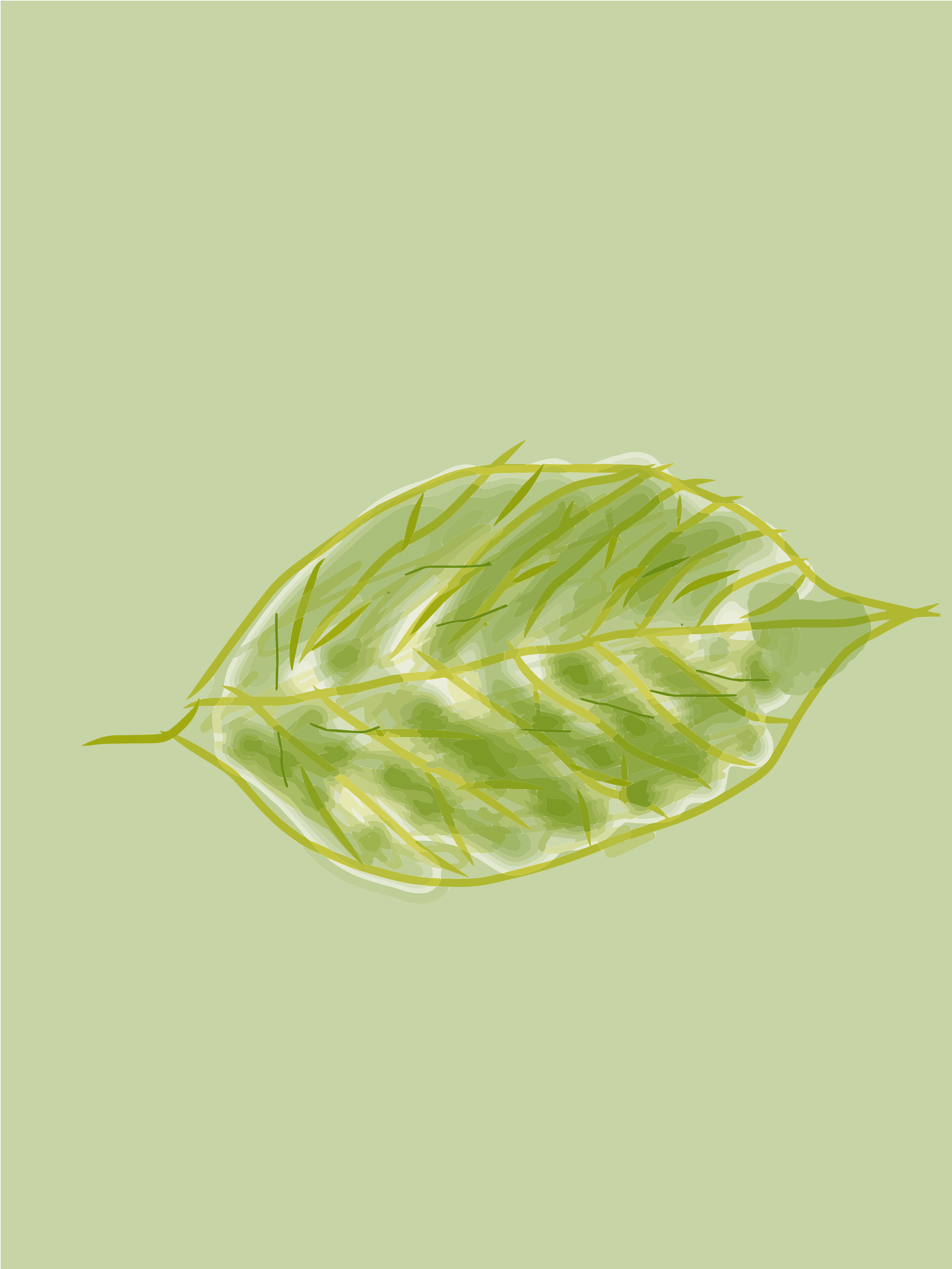 Una foglia verde su uno sfondo verde chiaro.