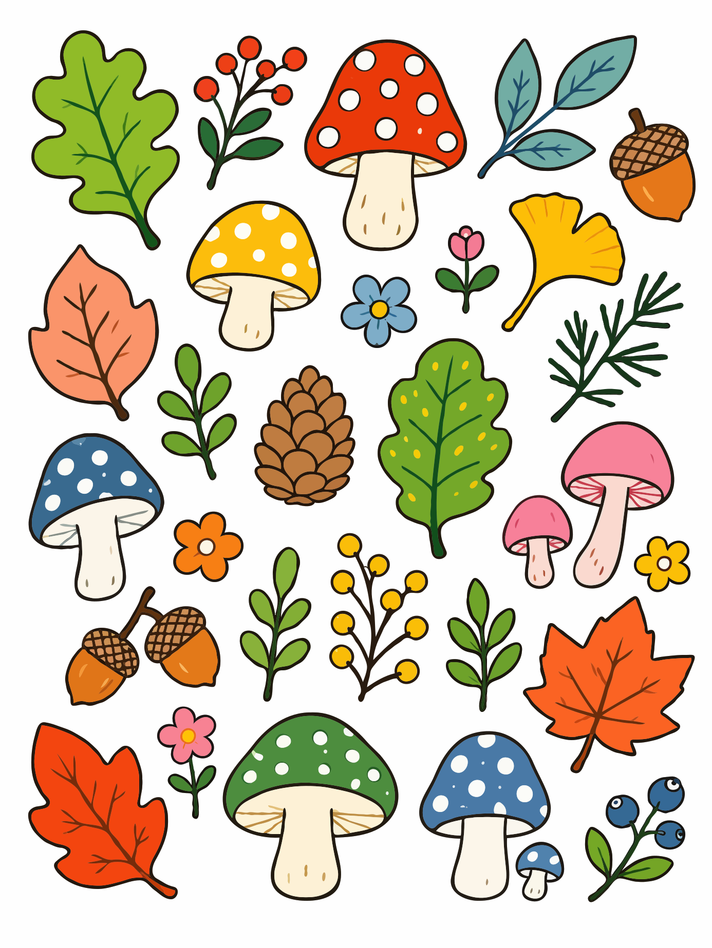 Colorful autumn leaves, mushrooms, acorns, and berries on white background.