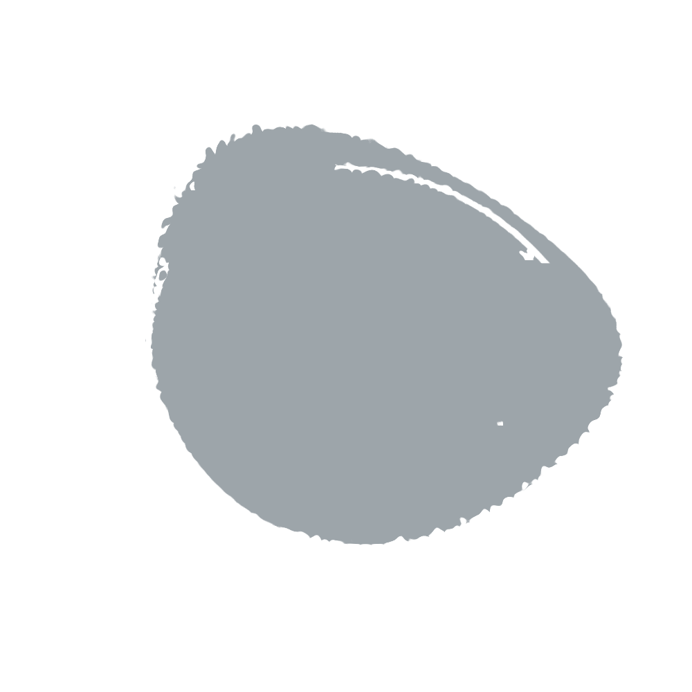 A textured grey blob on a plain white surface.