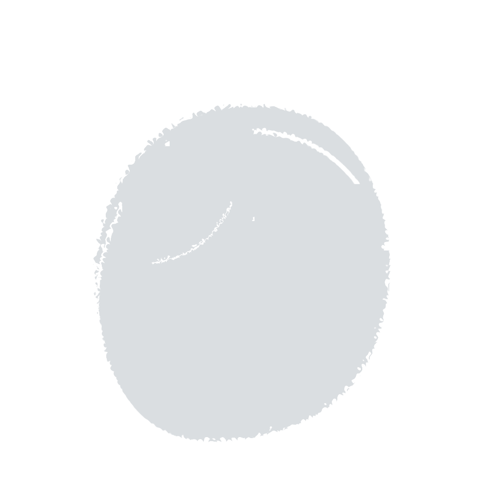 Light gray textured circle on white background.