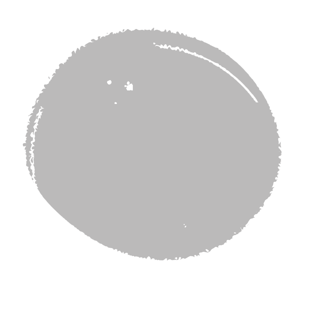 A light gray textured circle on a white background.