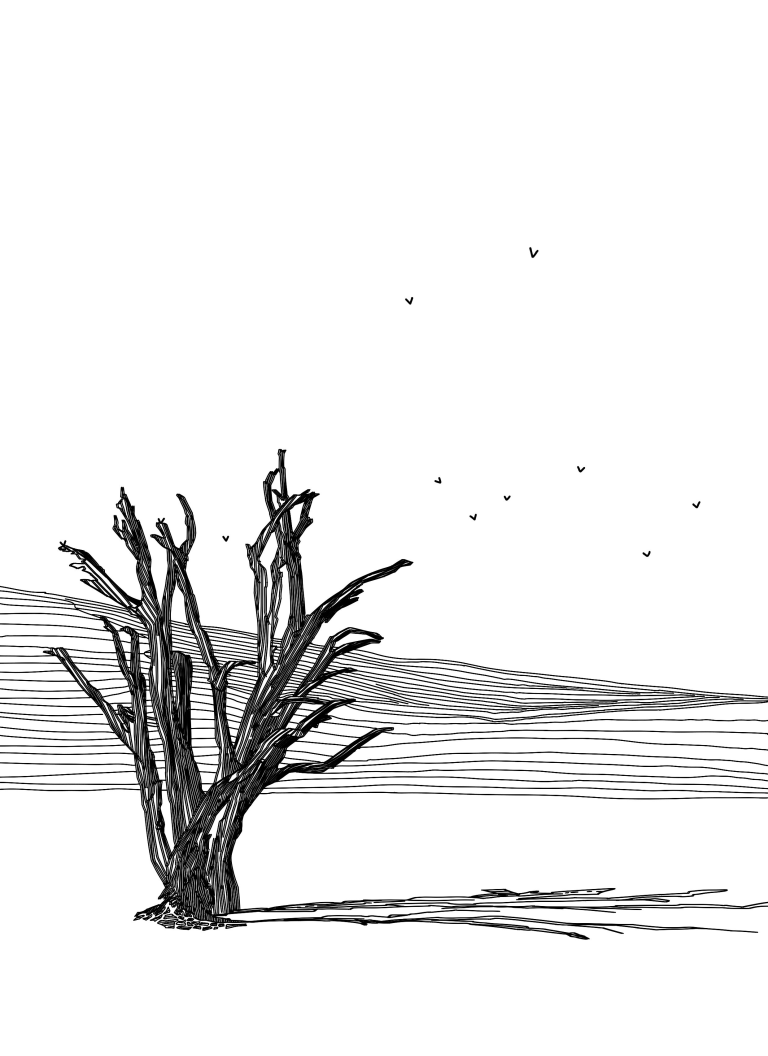 Minimalist line drawing of a bare tree and flying birds.