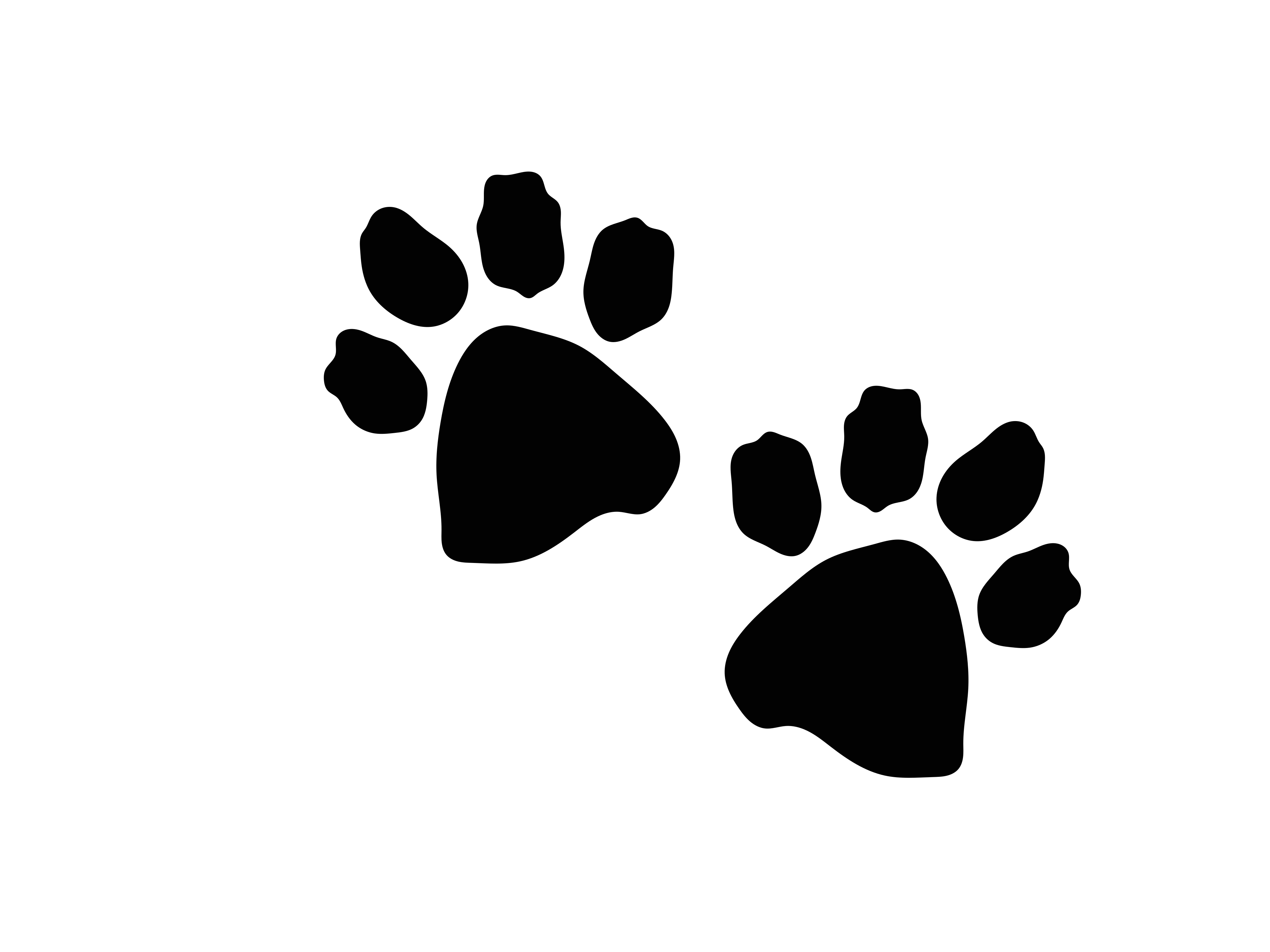 Two black paw prints on a white background.