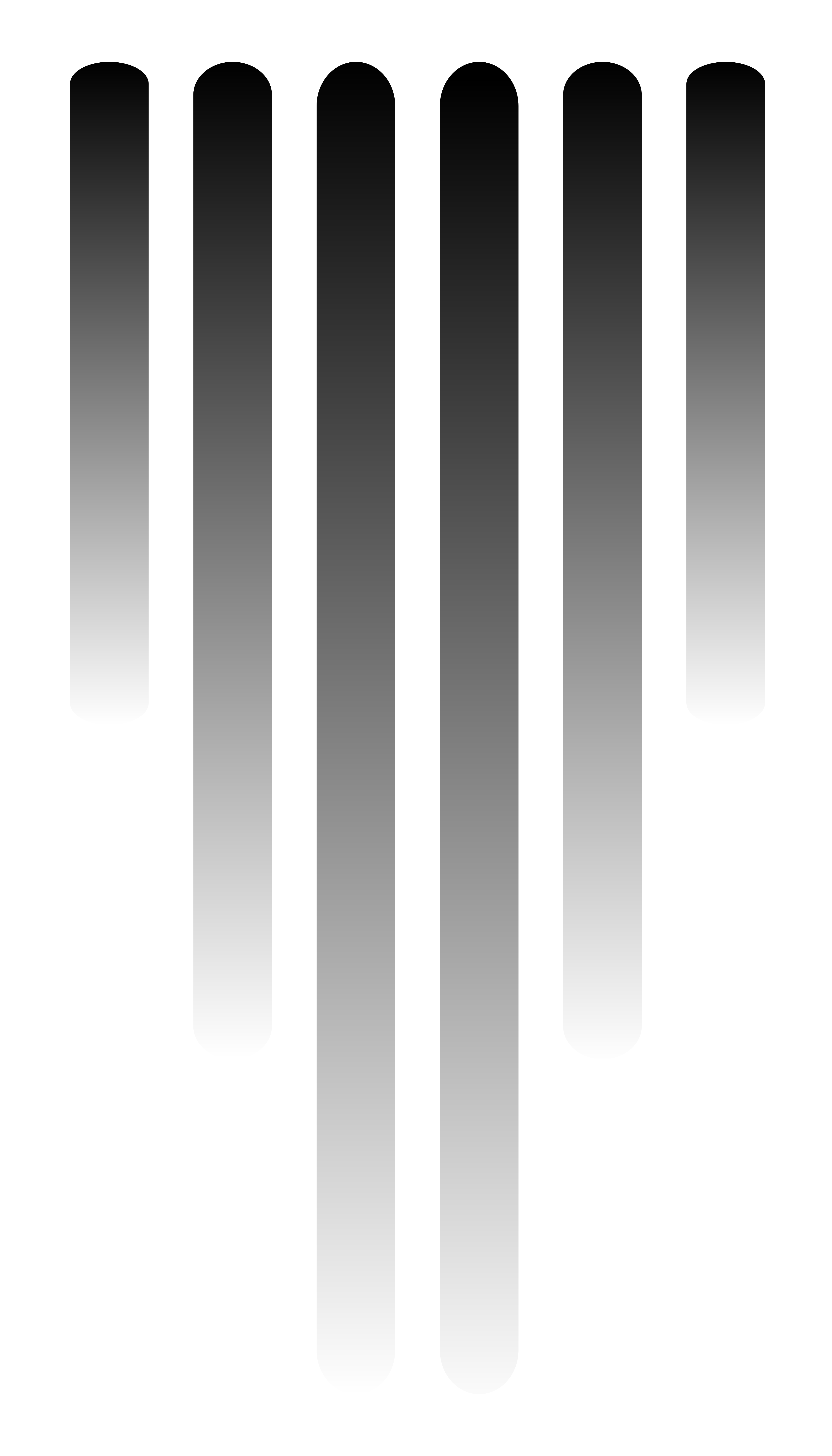 黒から白のグラデーションを持つ6本の丸みを帯びた縦縞。