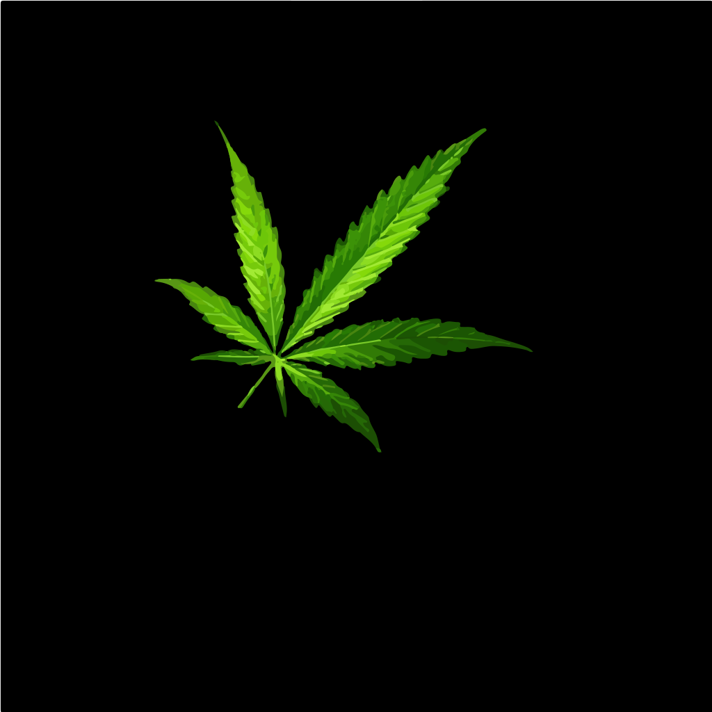 Una singola foglia di cannabis verde su sfondo nero.