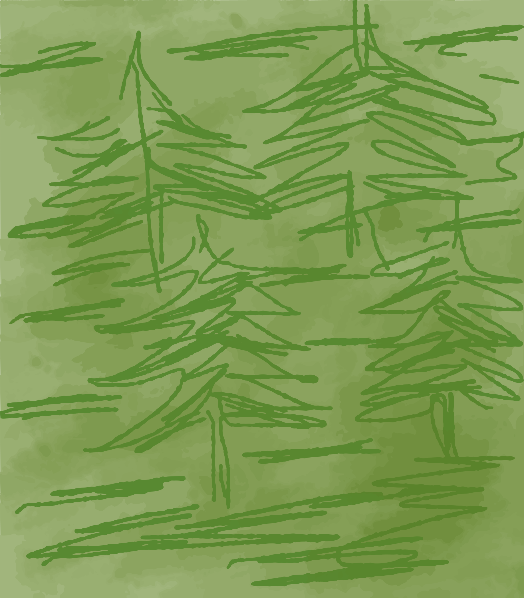 Pini verdi disegnati a mano su uno sfondo verde testurizzato.