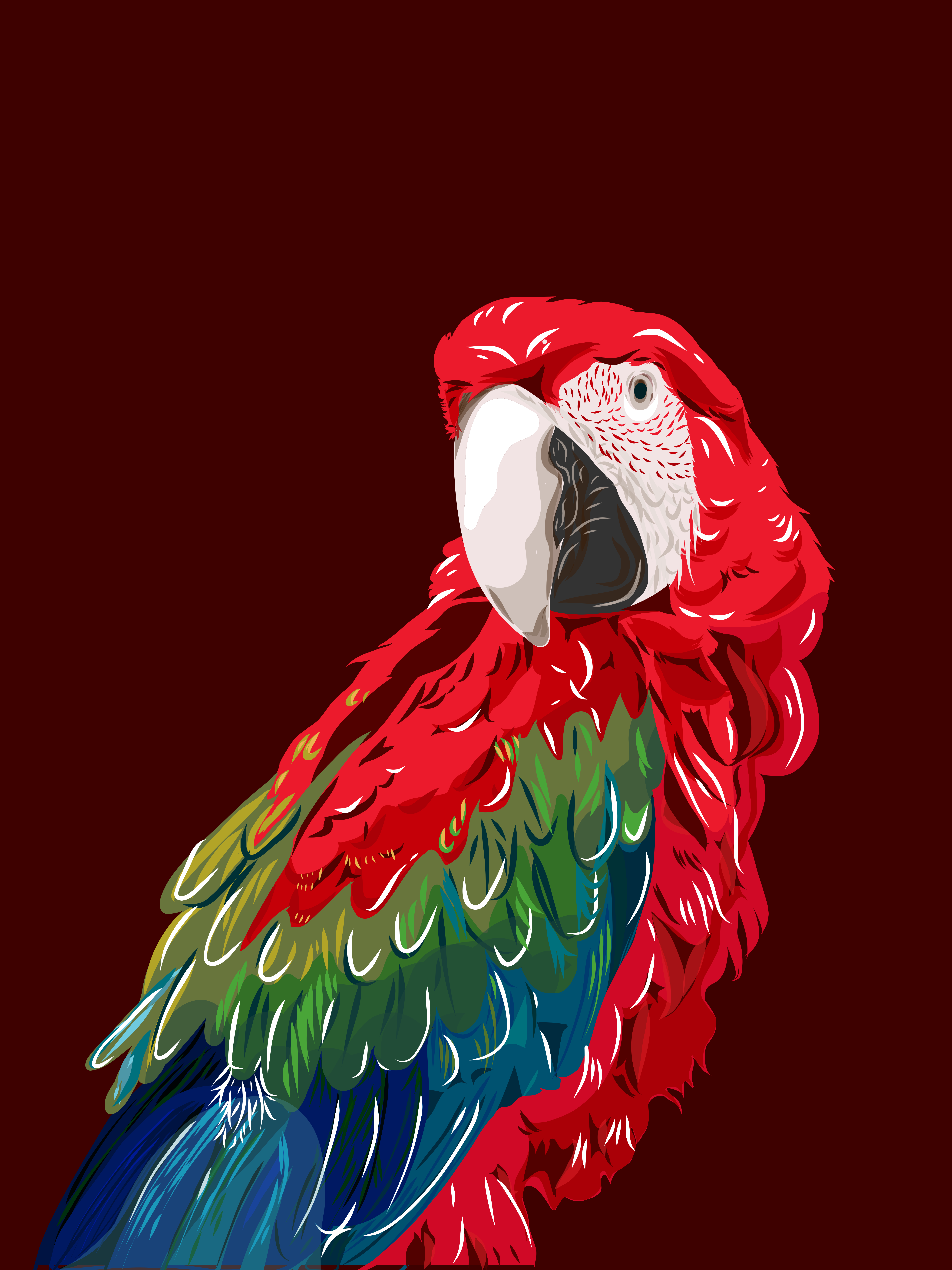 Papagaio vermelho e verde vibrante contra um fundo escuro.