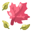 Ein großes rosa Ahornblatt, umgeben von drei grünen Blättern.