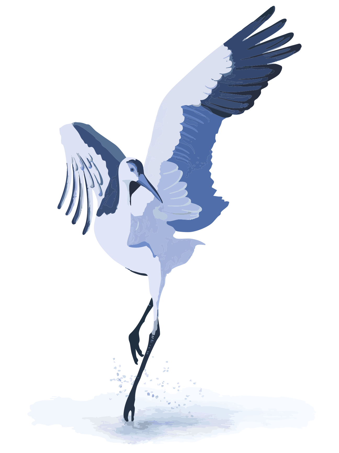Ein weiß-blauer Vogel mit ausgebreiteten Flügeln