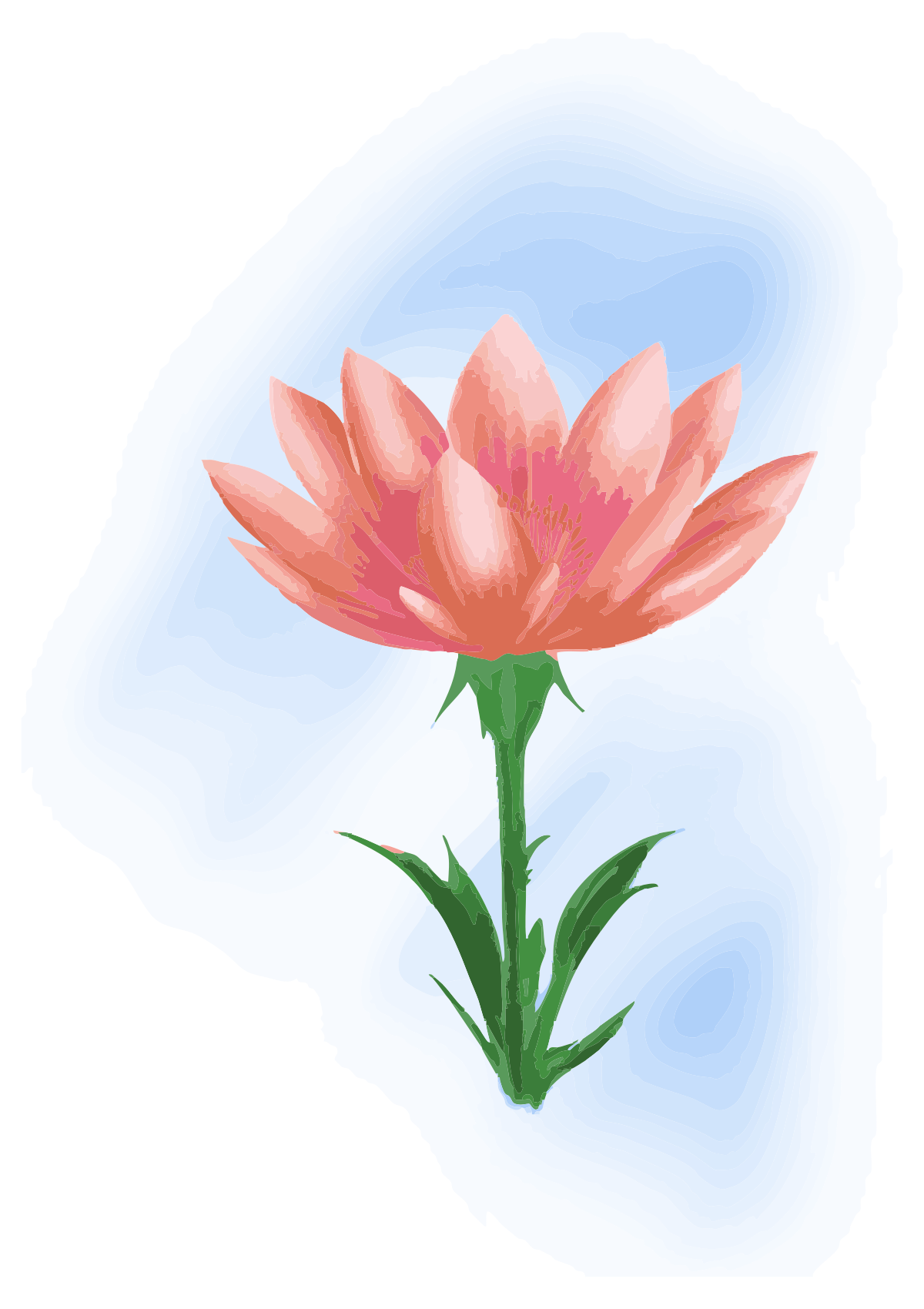 Un fiore rosa con foglie verdi su sfondo blu.