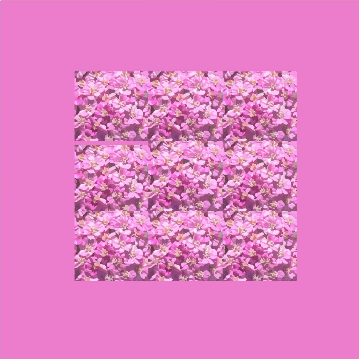 Un carré de fleurs roses sur un fond rose uni