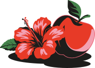 Eine rote Hibiskusblüte und ein roter Apfel mit Schatten.