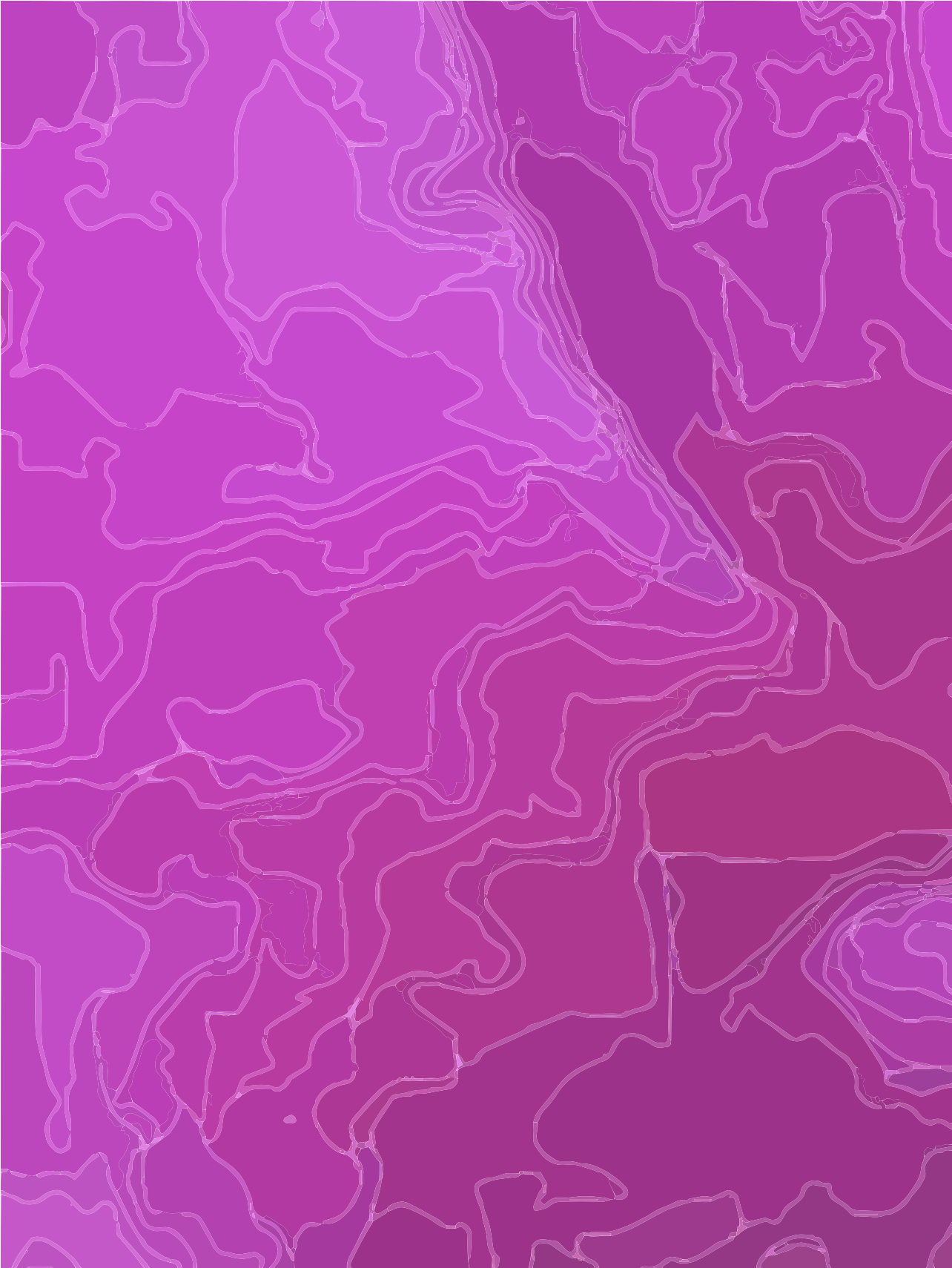 Formas abstratas em tons de rosa e roxo com contornos brancos