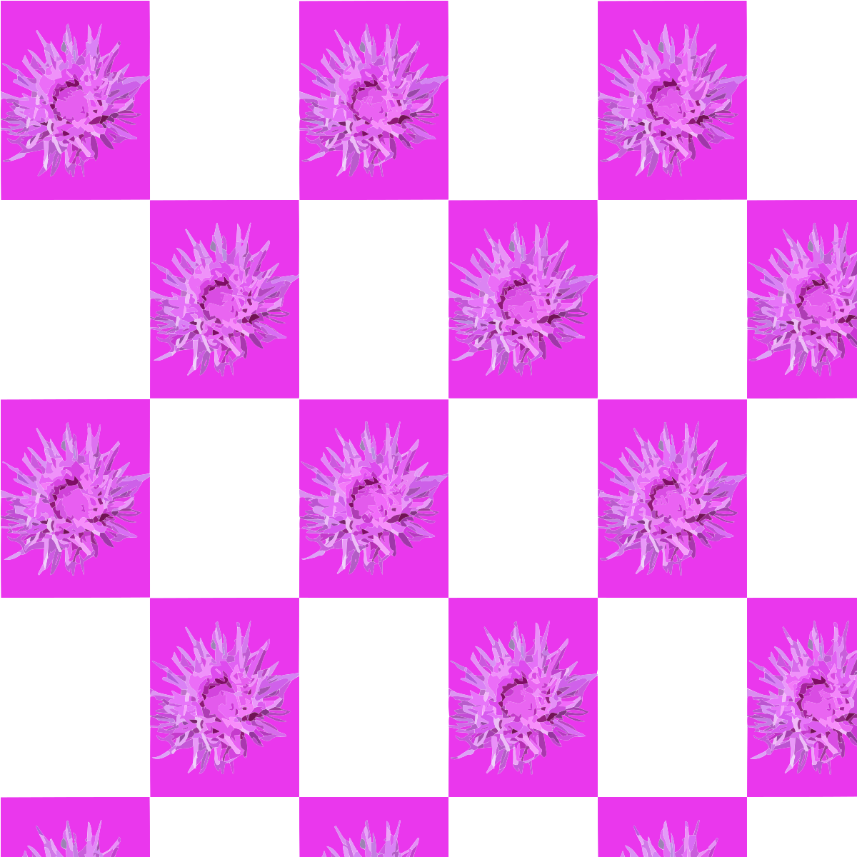 Magenta e tabuleiro xadrez branco com desenhos de flores roxas espinhosas