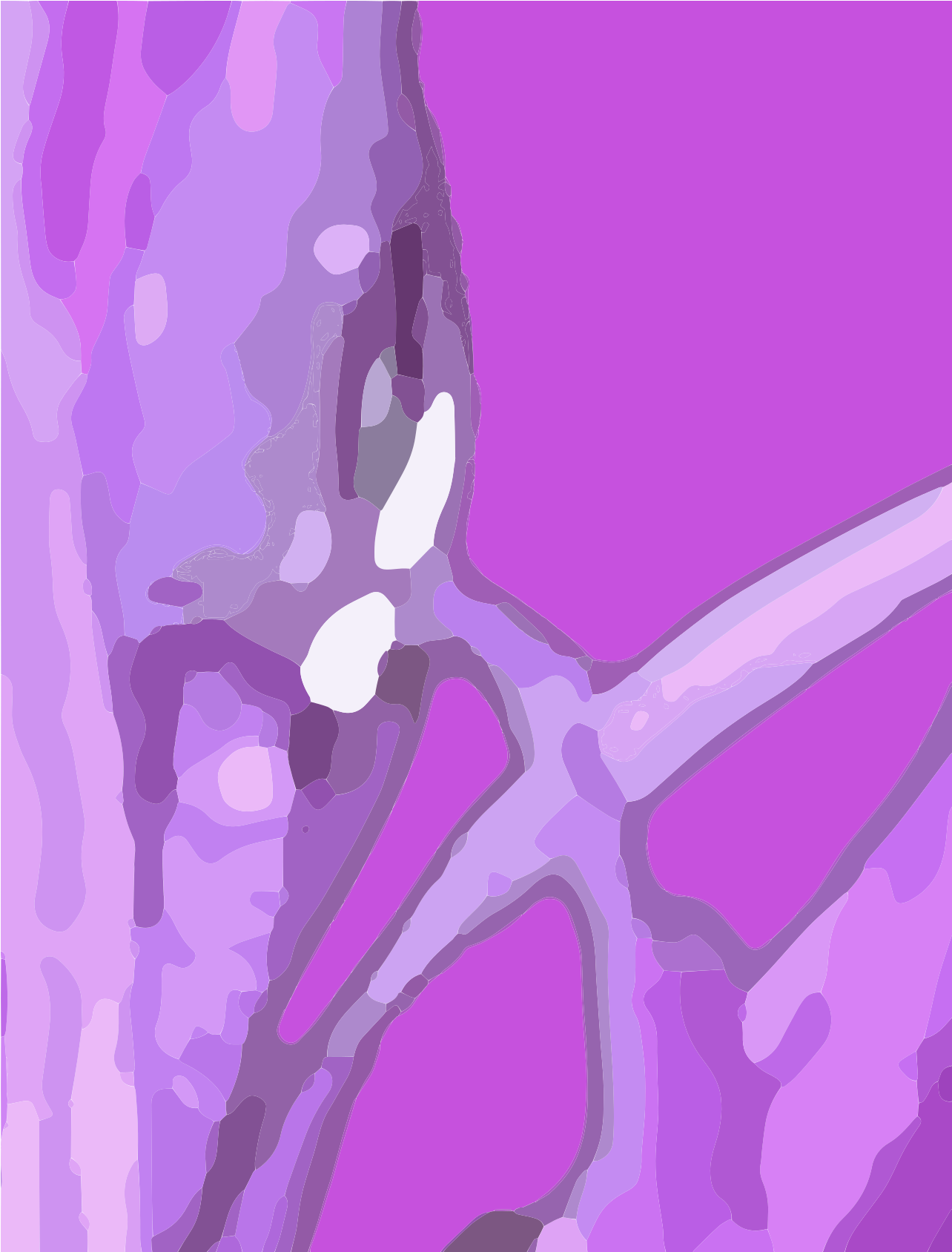 Abstract purple and pink shapes with organic lines.