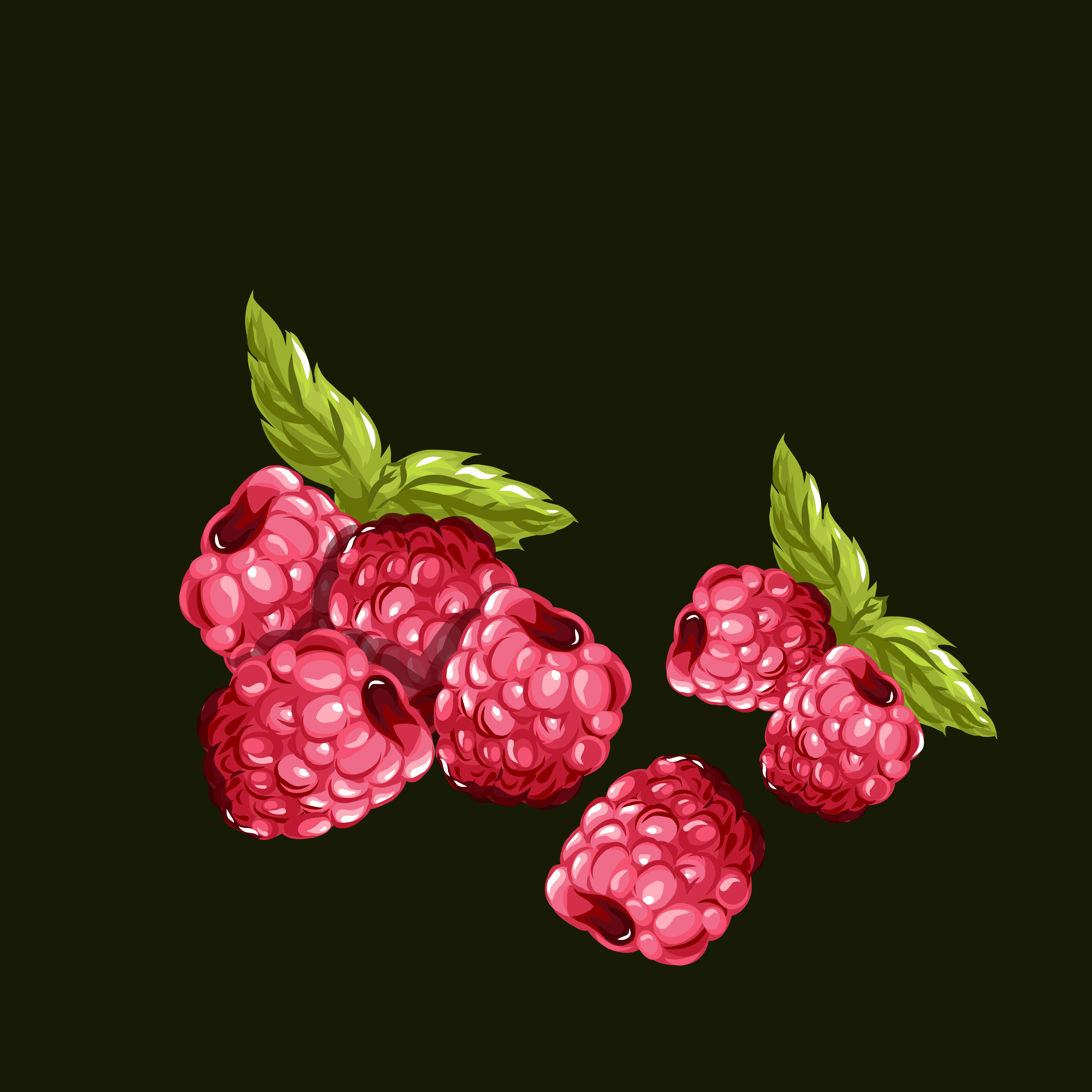 Frambuesas rojas frescas con hojas verdes sobre un fondo oscuro.