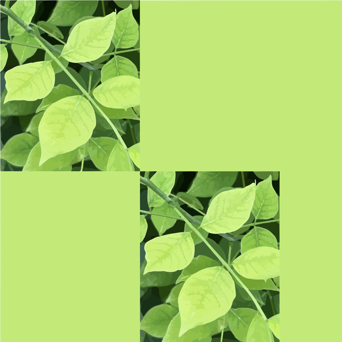 Folhas verde-claro nos galhos contra um fundo verde sólido
