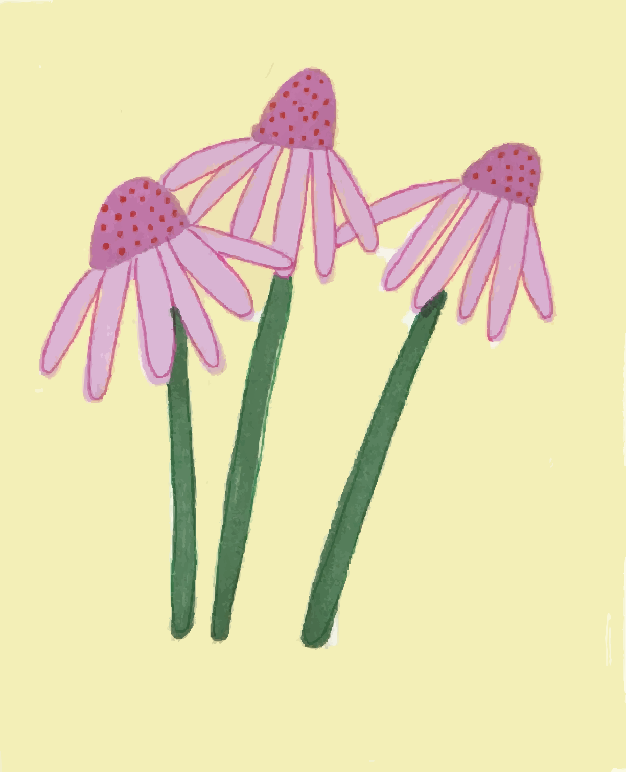 Three pink coneflowers on light yellow background