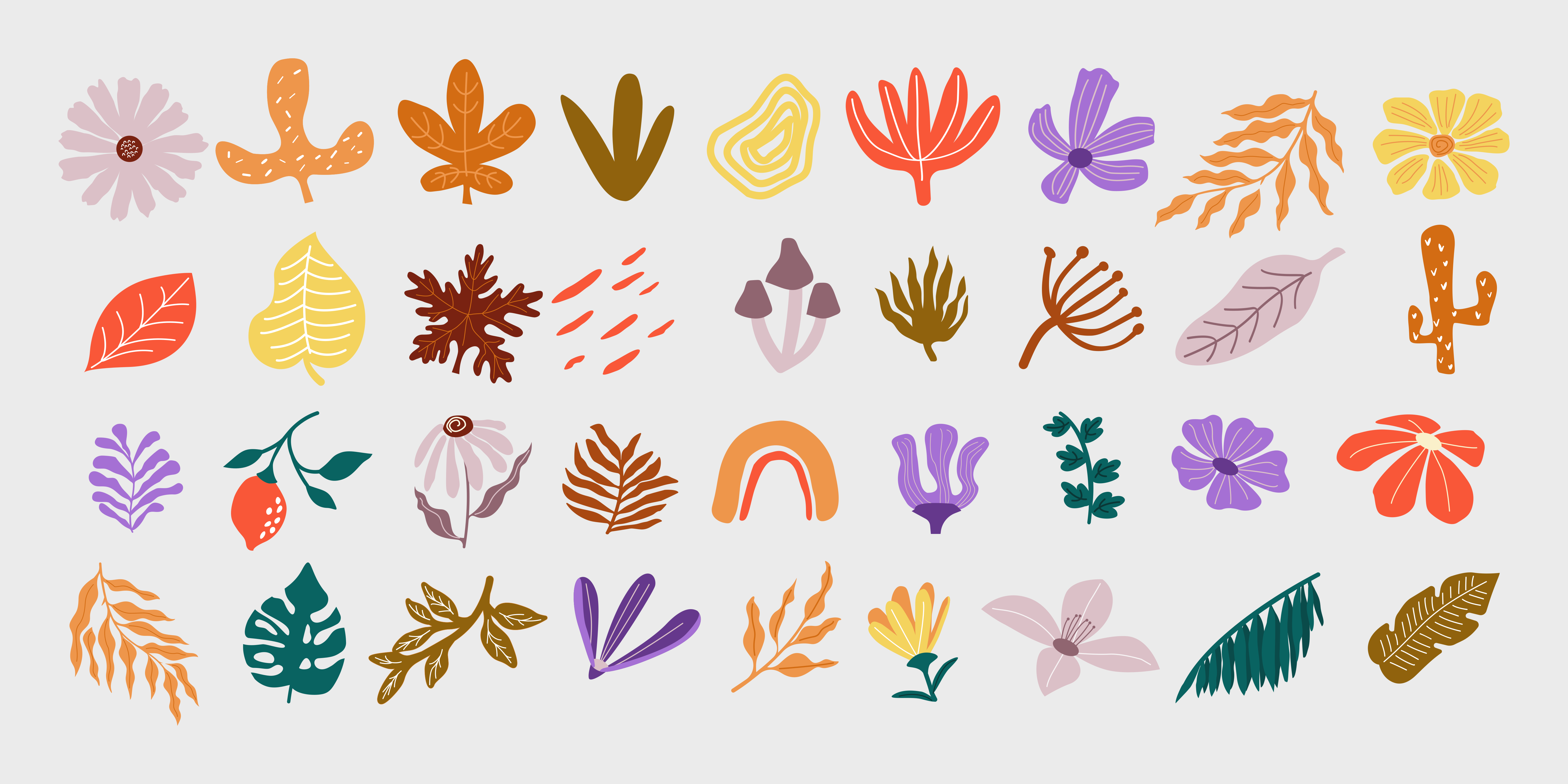 Des feuilles abstraites colorées, des fleurs et des formes botaniques