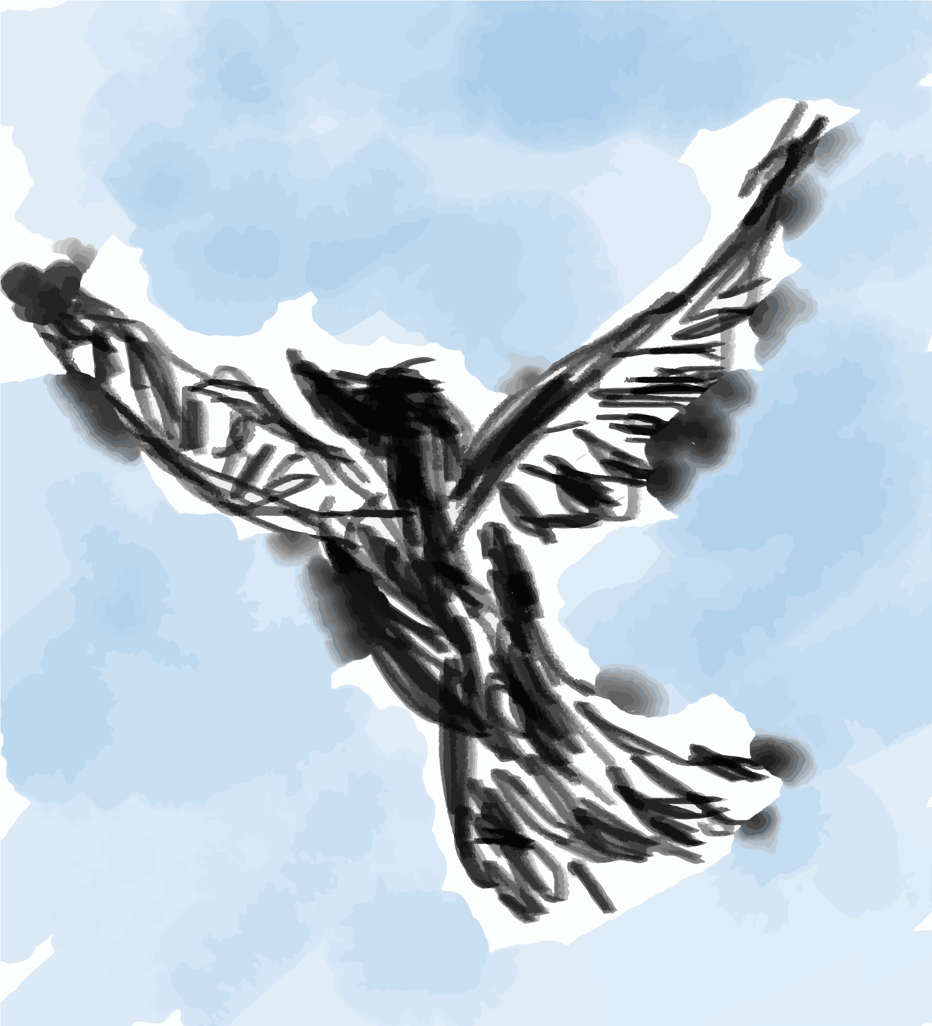 A charcoal sketch of a bird in flight against a pale blue background