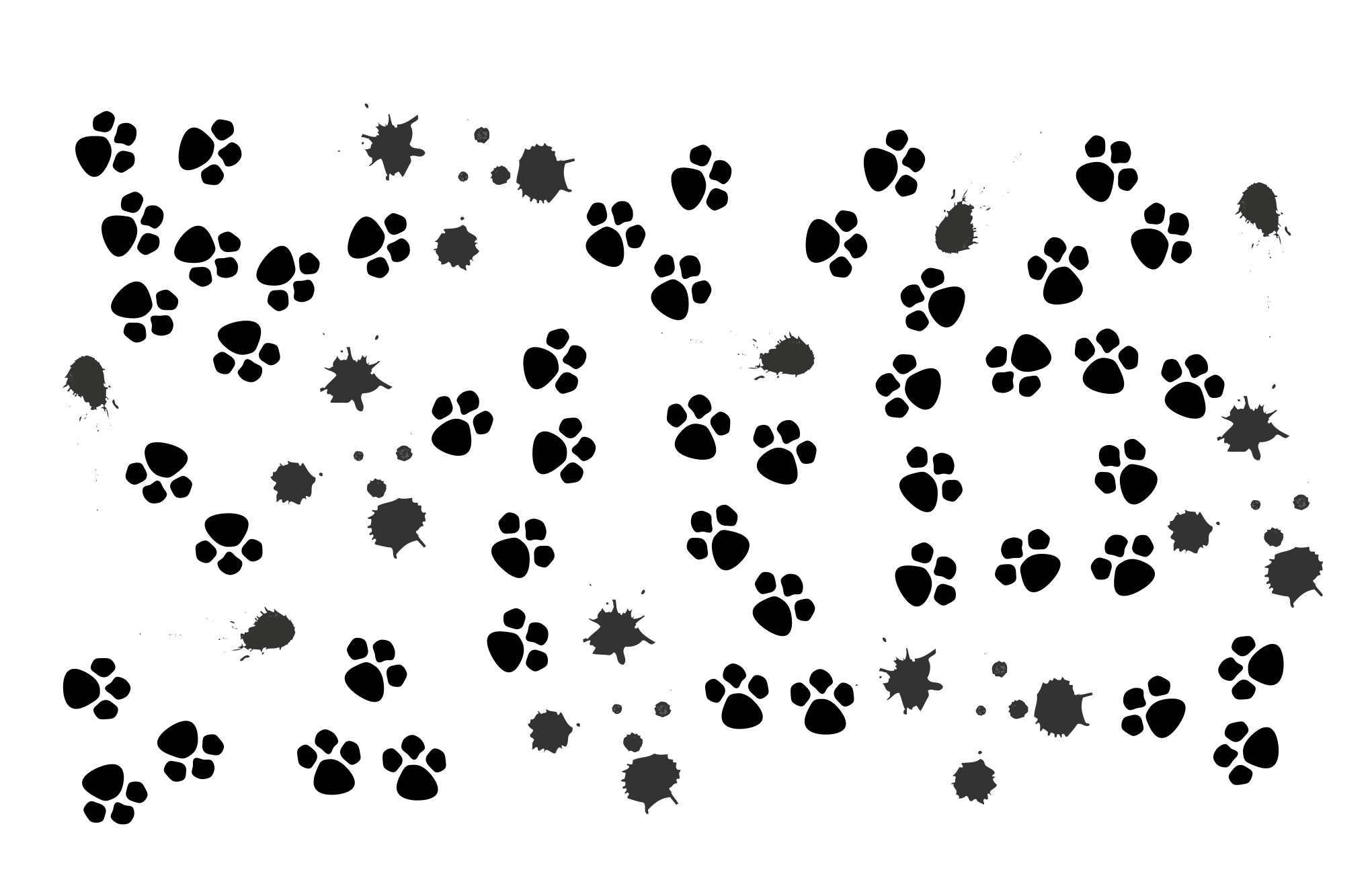 Black animal paw prints and grey ink splatters on a white background