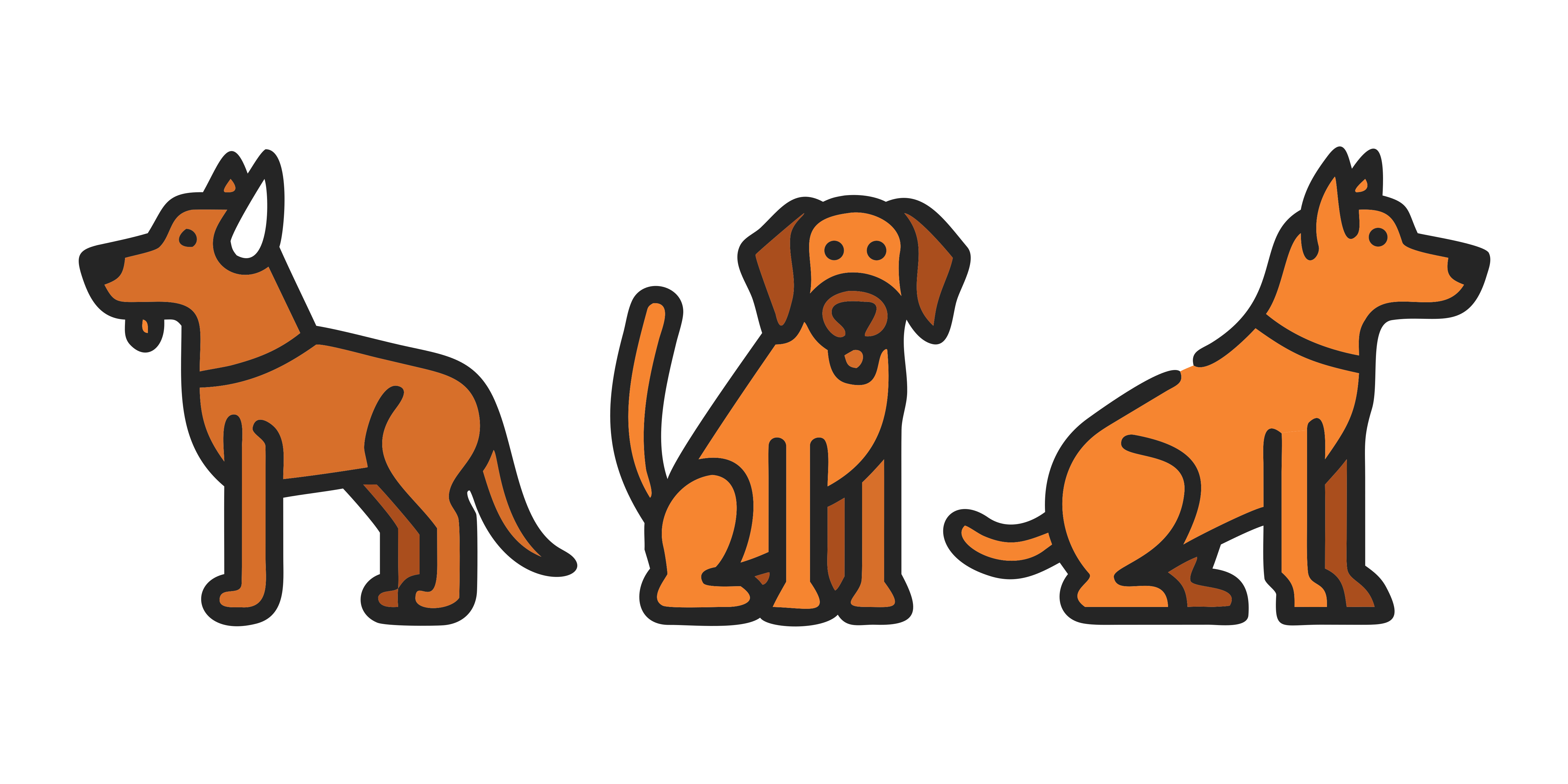 Drei orangefarbene Hunde in unterschiedlichen Posen auf weißem Hintergrund