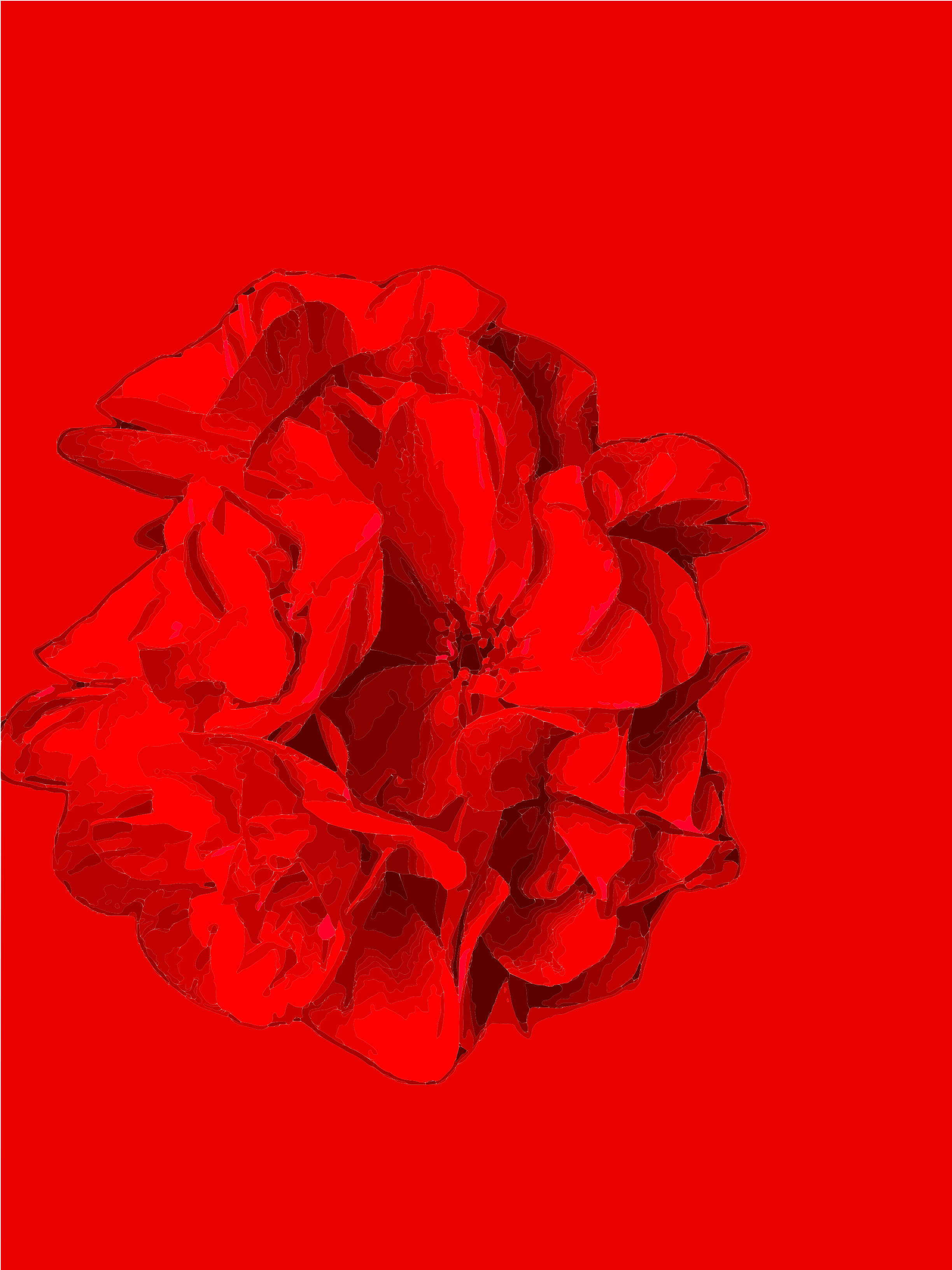 Una flor roja estilizada con pétalos superpuestos sobre un fondo rojo sólido