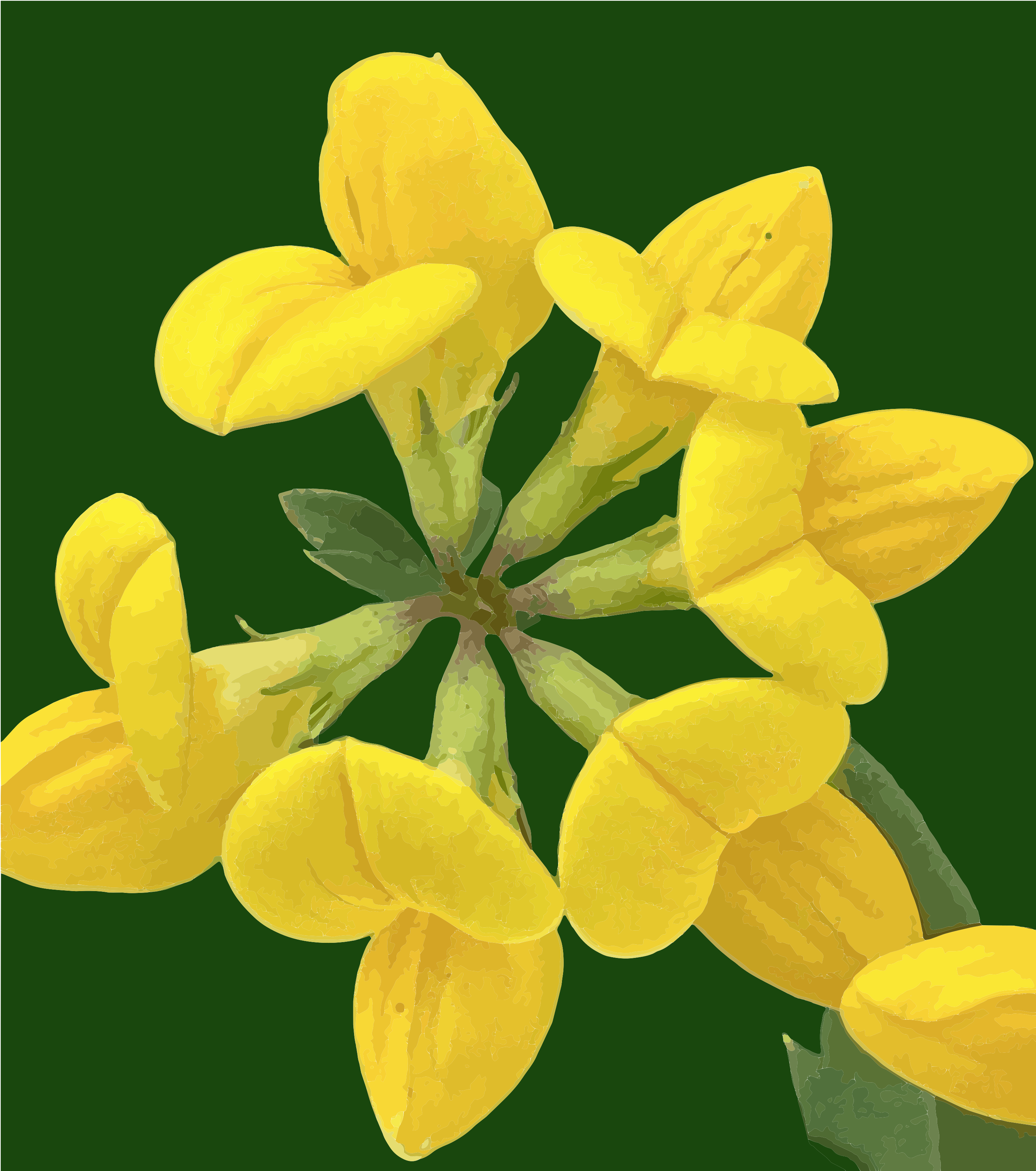 Un racimo de flores amarillas brillantes dispuestas en círculo sobre un fondo oscuro