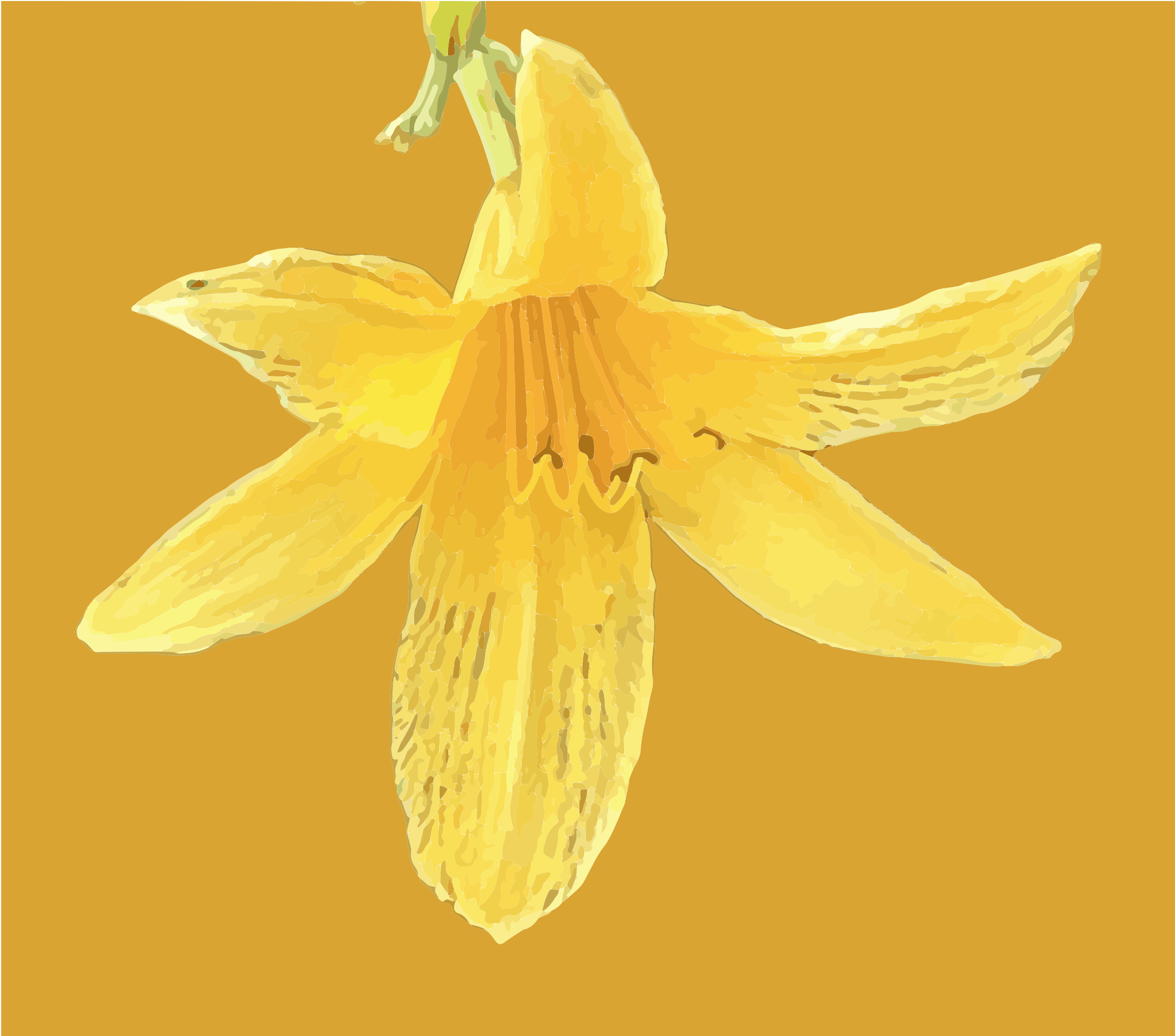 黄色いデイリリーの花が、濃いマスタードイエローの背景に描かれている