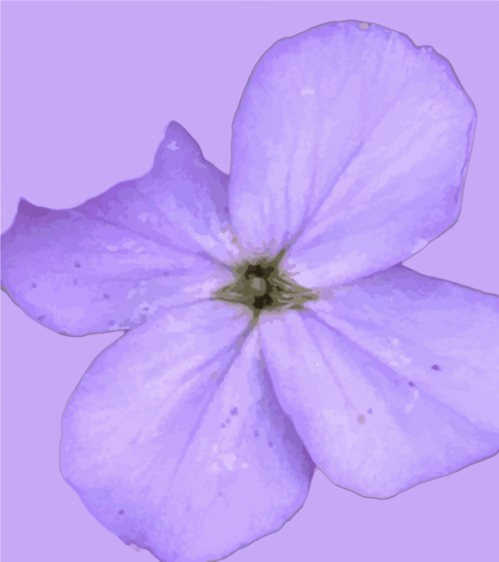 Uma única flor roxa clara com cinco pétalas sobre um fundo roxo combinando