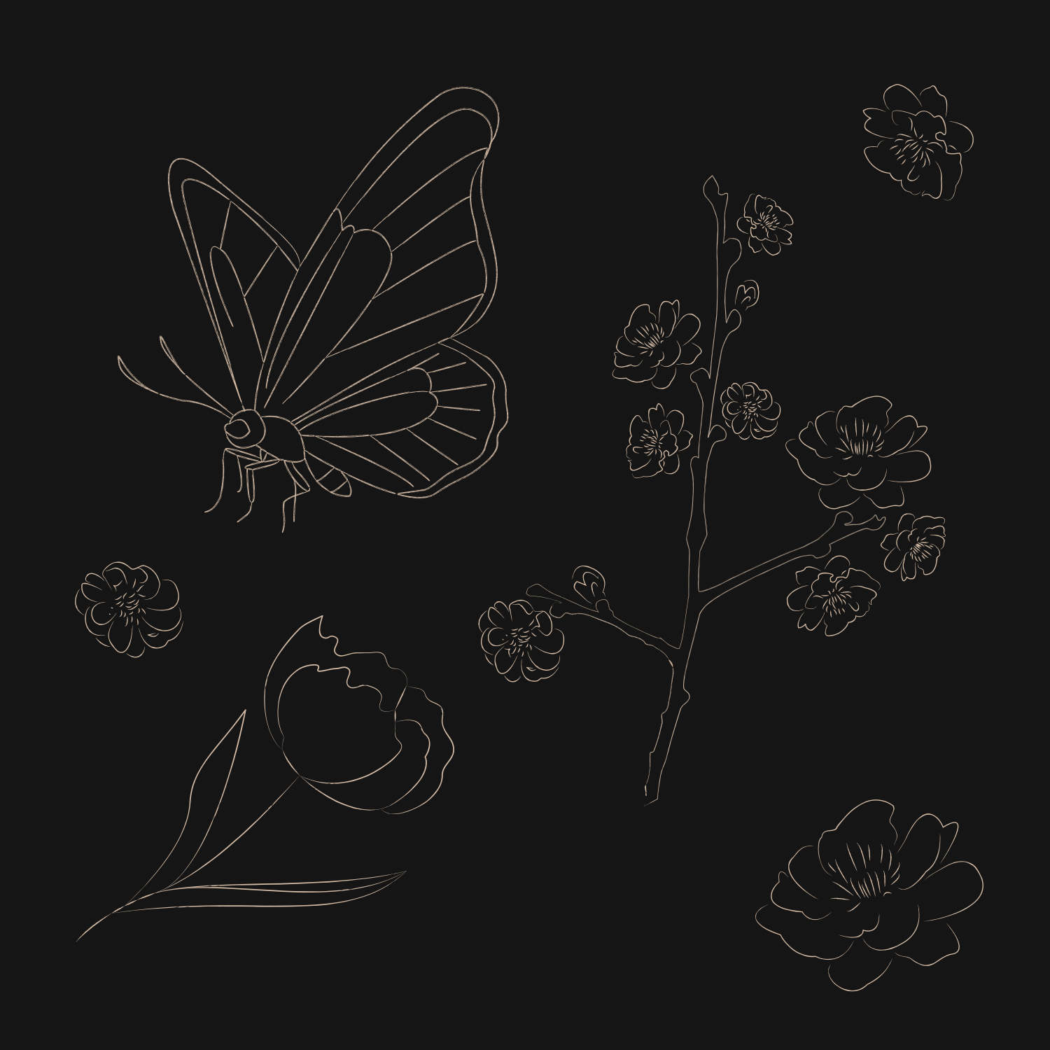 Una mariposa y ramitas florales forman finas líneas doradas sobre fondo negro