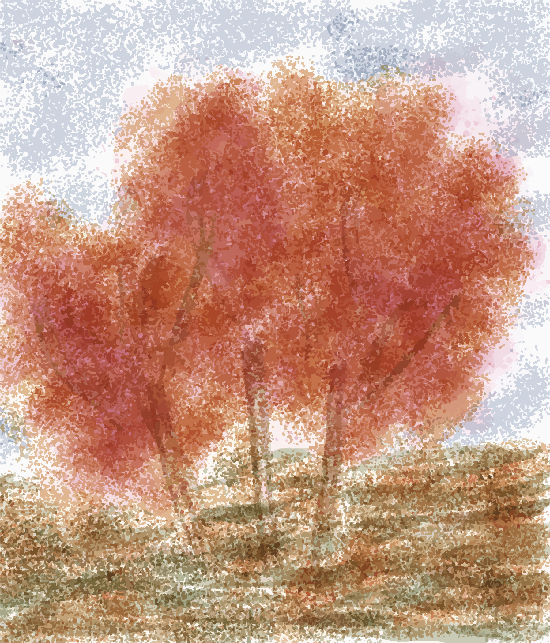 Trois arbres au feuillage orange d’automne sur une colline herbeuse sous un ciel nuageux