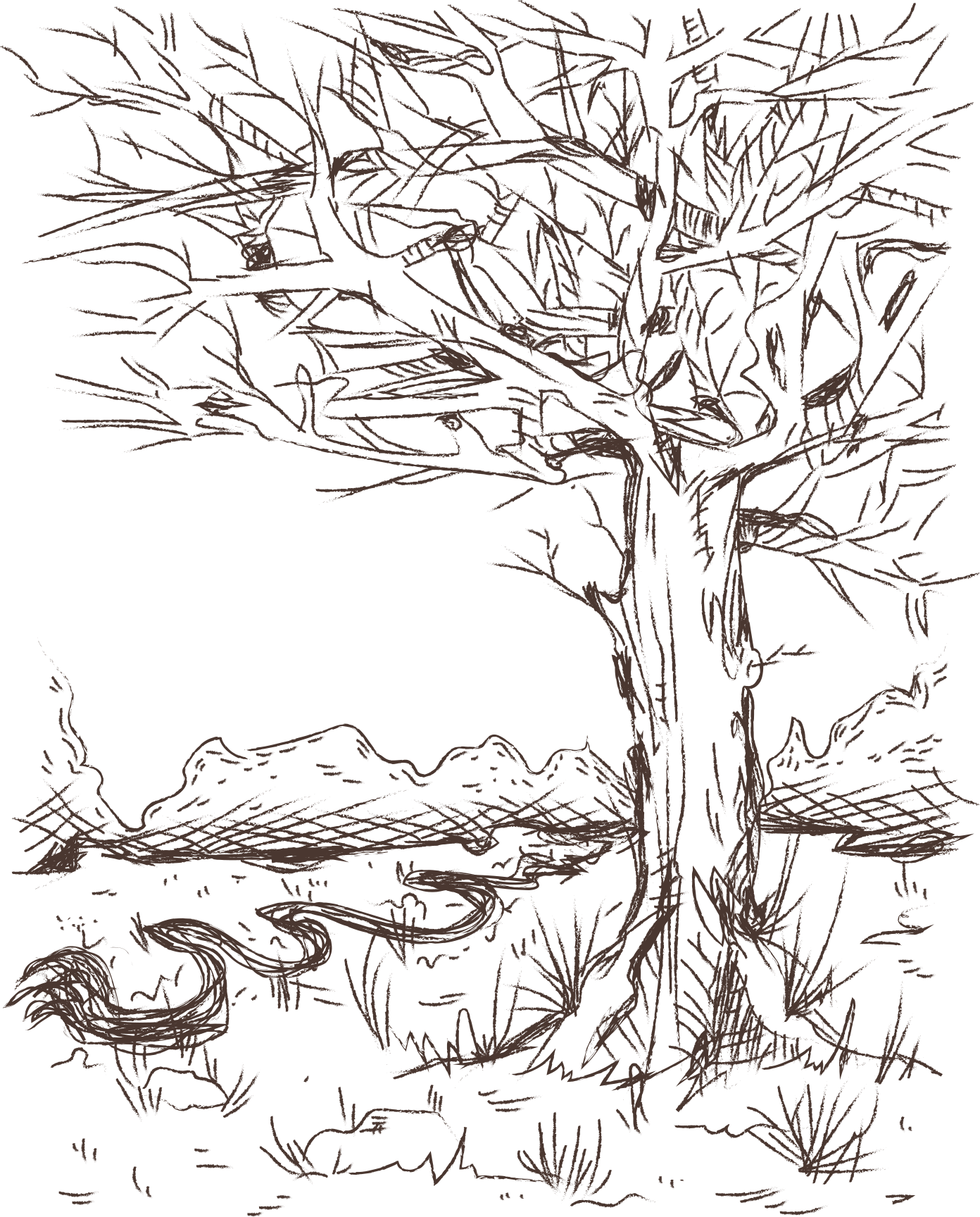 Un arbre nu aux branches étendues au bord d’un chemin sinueux dans un paysage