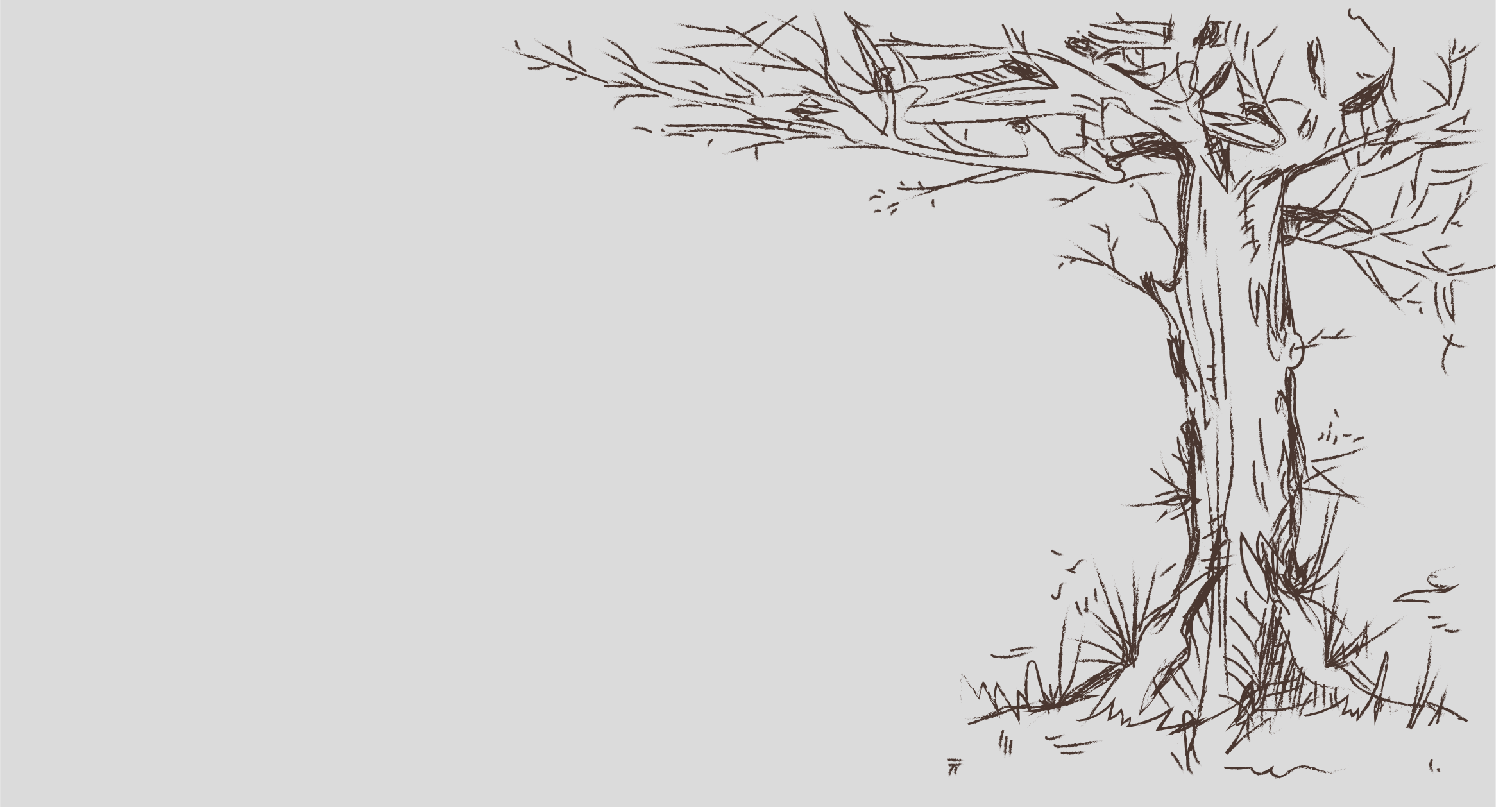Un arbre nu aux branches noueuses sur un fond gris clair uni