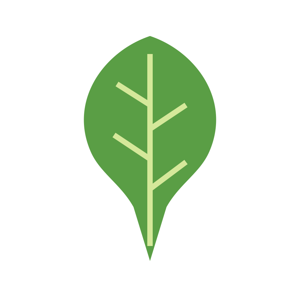 Ein grünes Blattvektor-Symbol mit helleren grünen Adern auf weißem Hintergrund