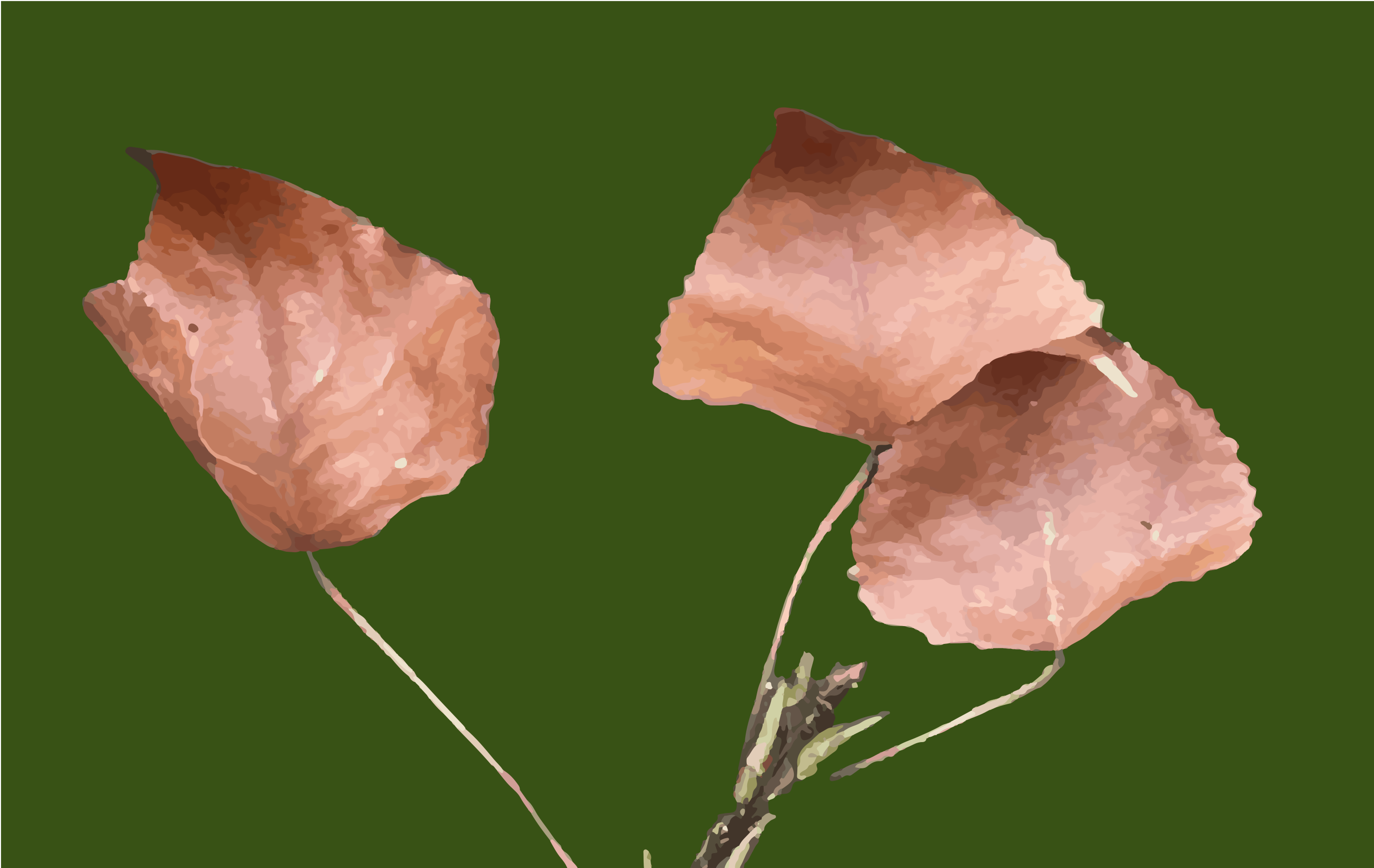 Tres hojas marrones secas sobre tallos delgados sobre un fondo sólido de color verde oscuro