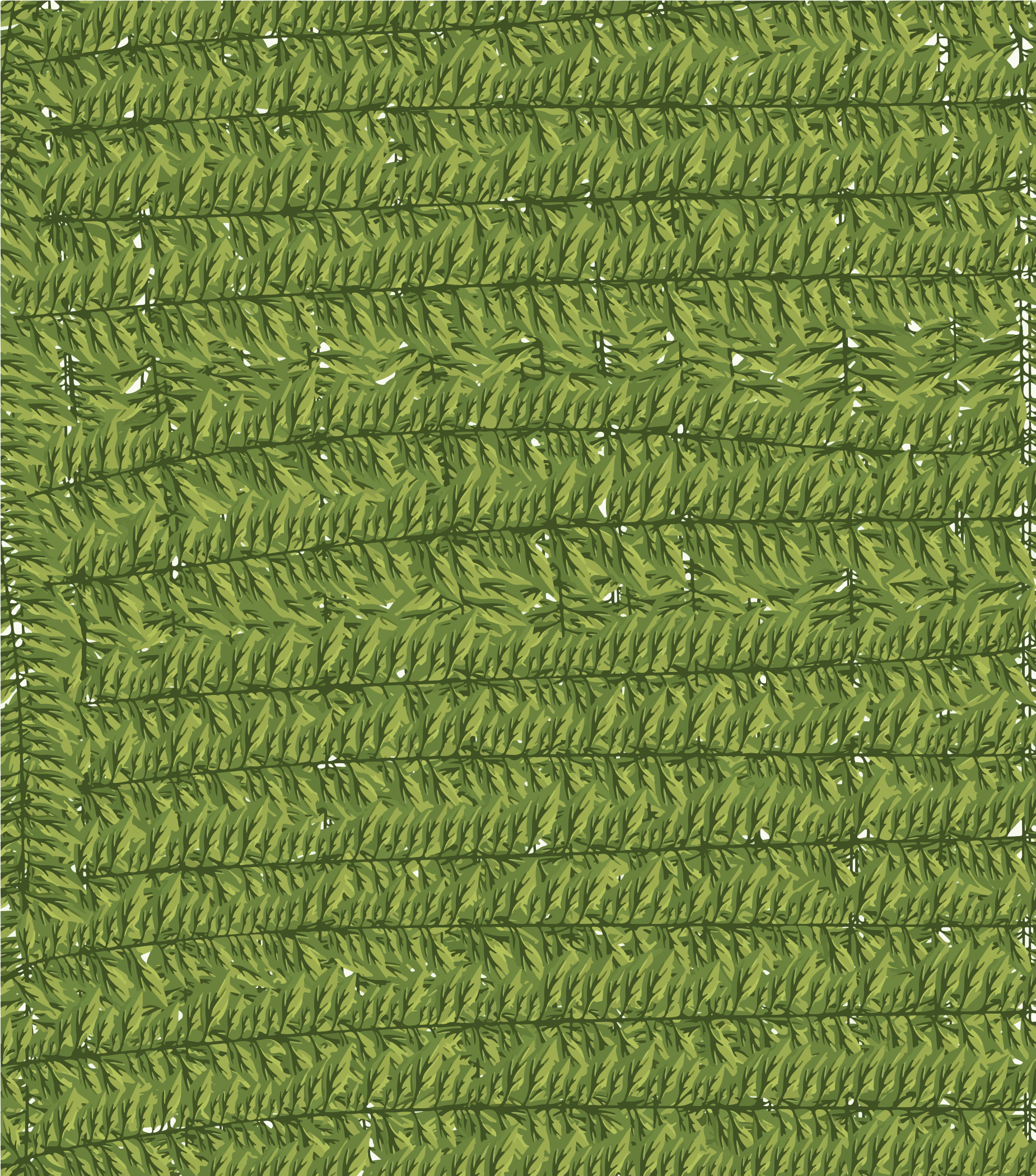 Un motif sans couture de feuilles de fougère verte disposées en rangées horizontales
