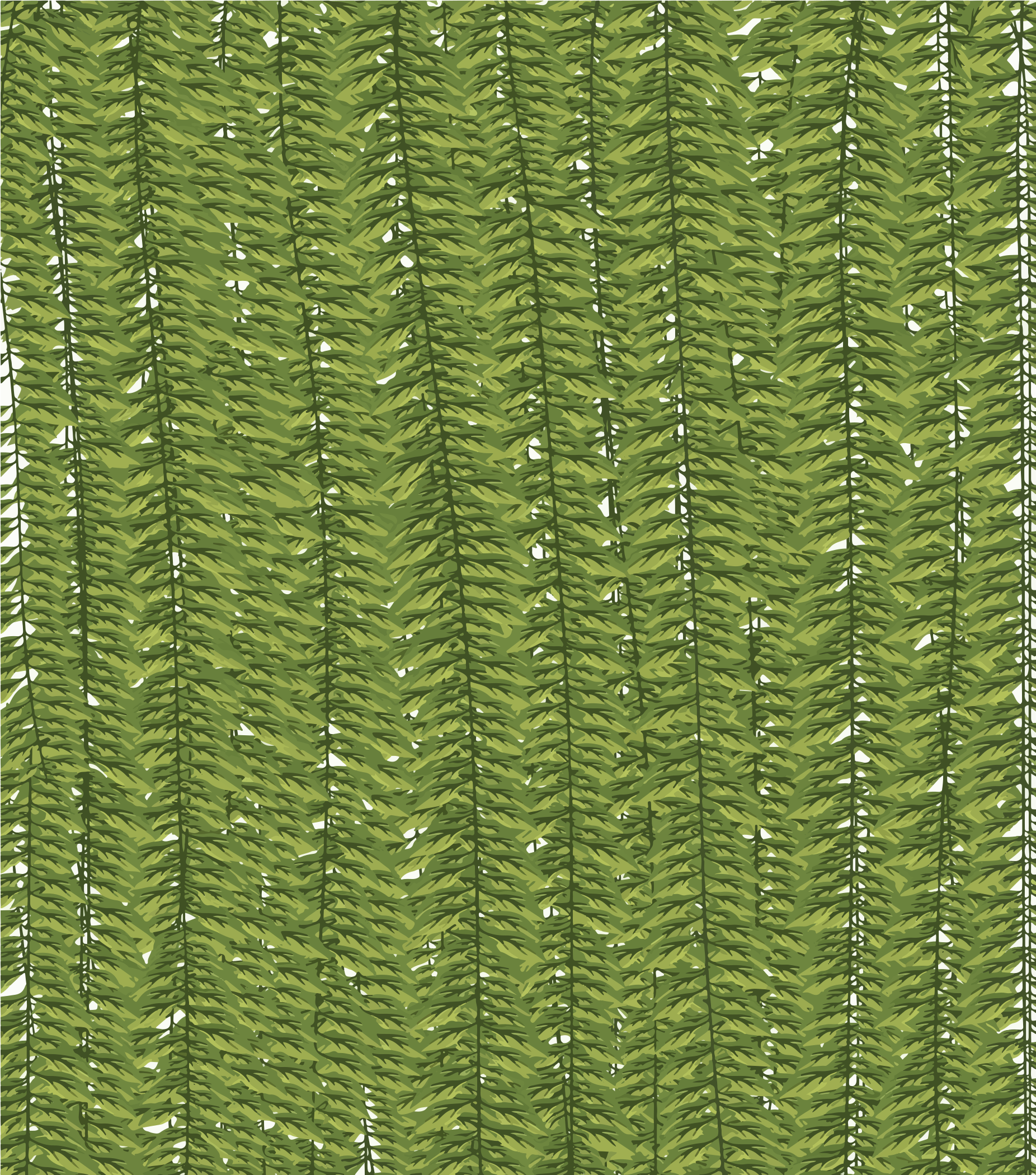 Des rangées verticales de feuilles de fougère verte créant un motif botanique dense