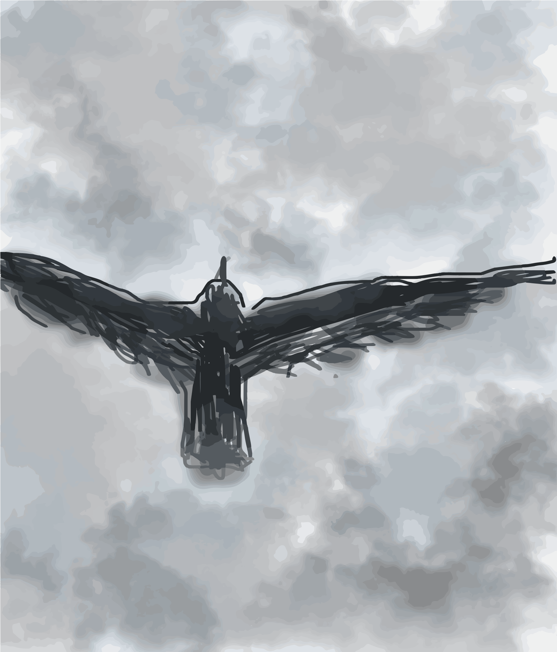 Un oiseau sombre en vol contre un ciel gris et nuageux