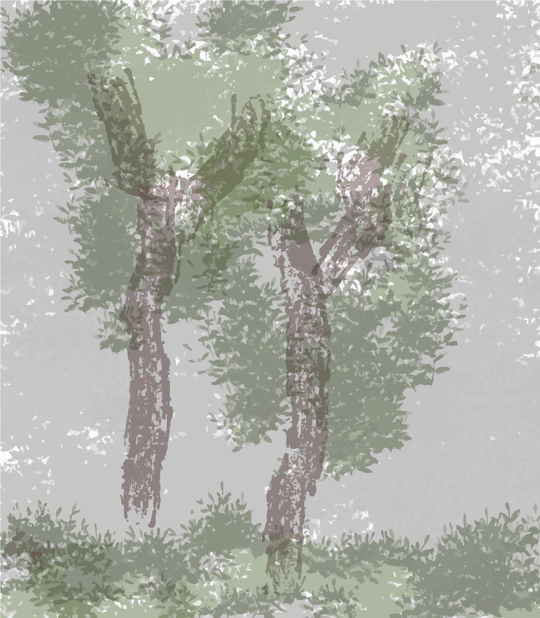 Two stylized trees with textured trunks and green foliage against a grey background
