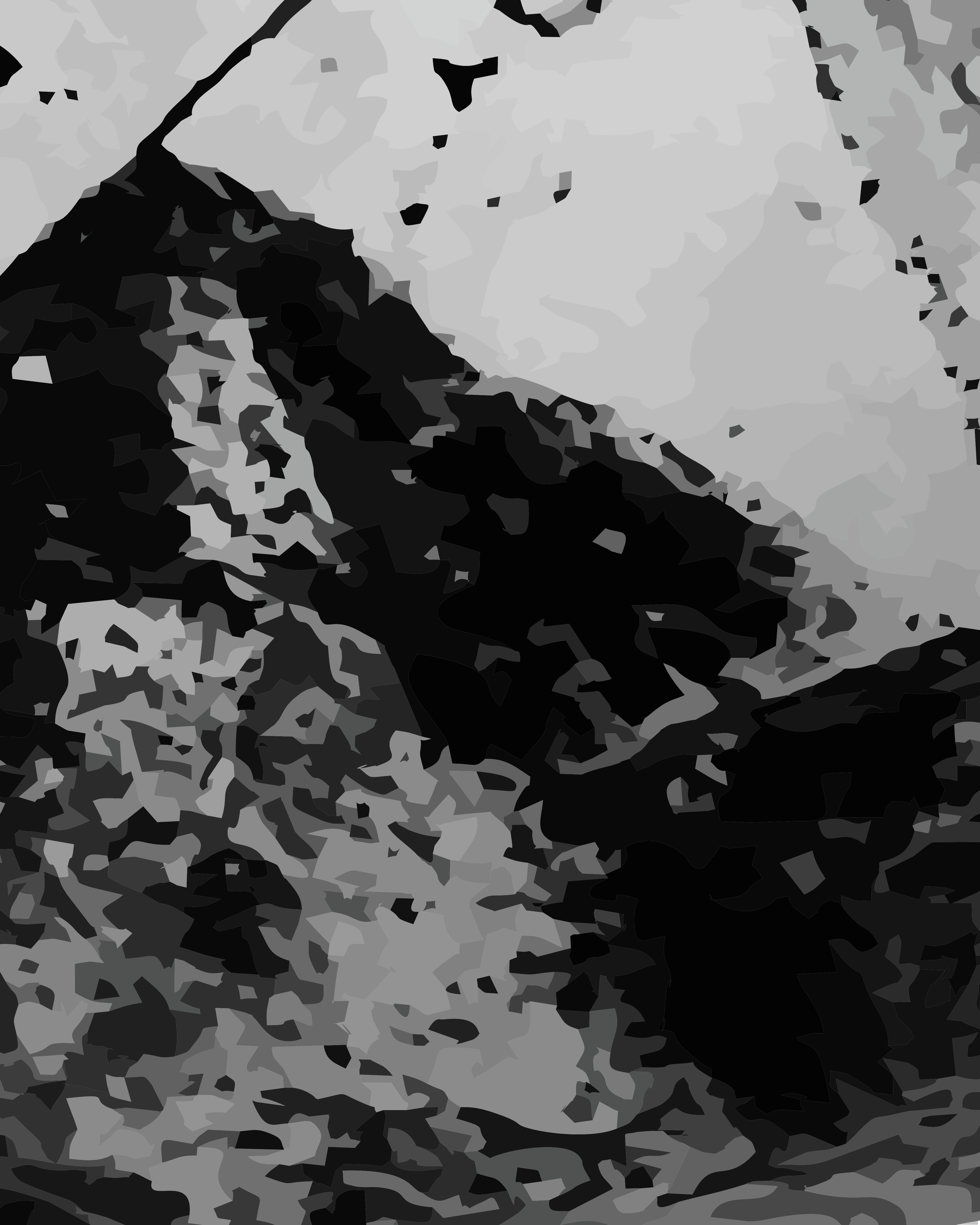 Abstract shapes in shades of black, grey, and white