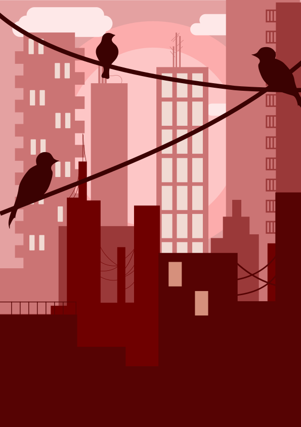 Trois oiseaux perchés sur des lignes électriques au-dessus d’une silhouette urbaine