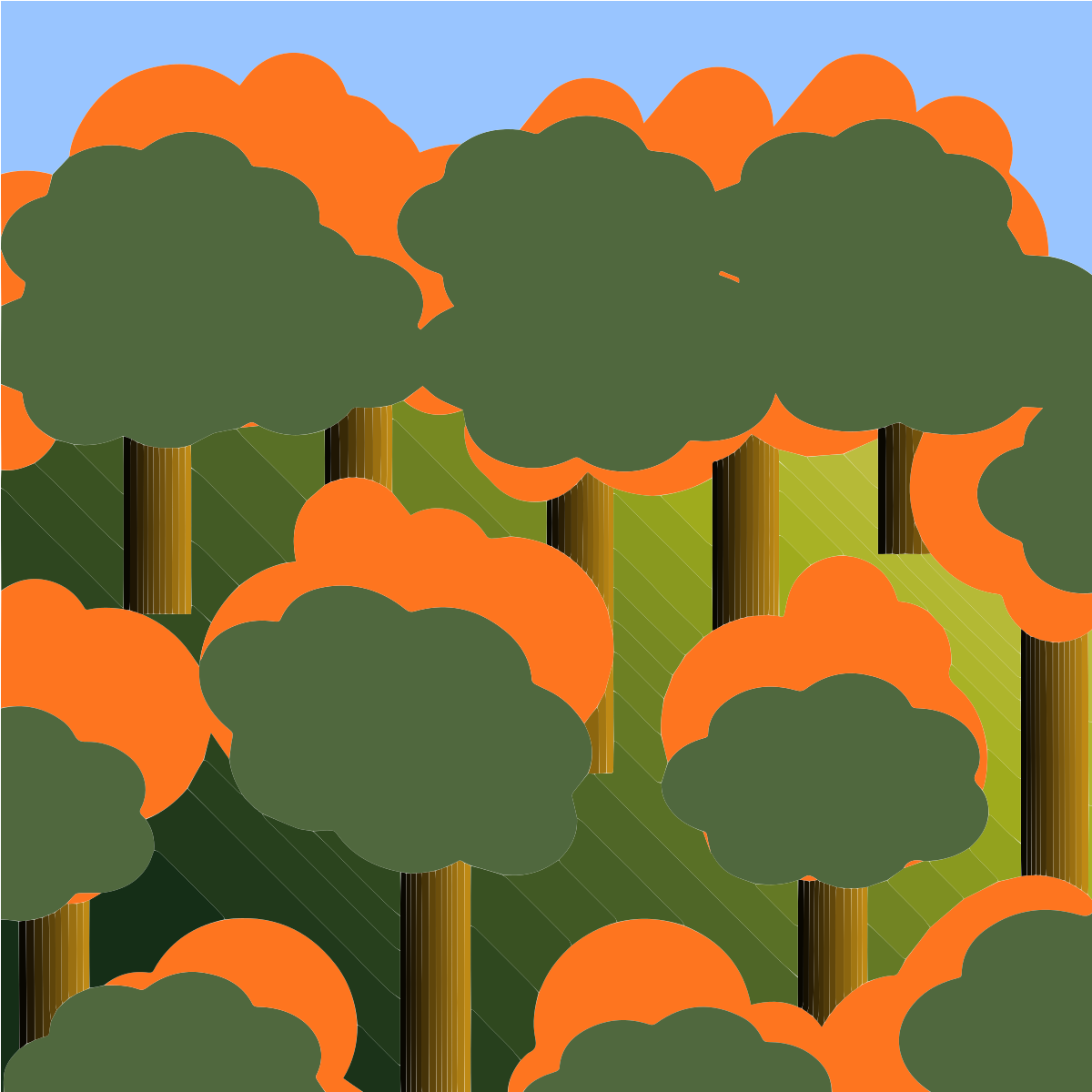 A vector illustration of a dense forest with stylized orange and green tree canopies
